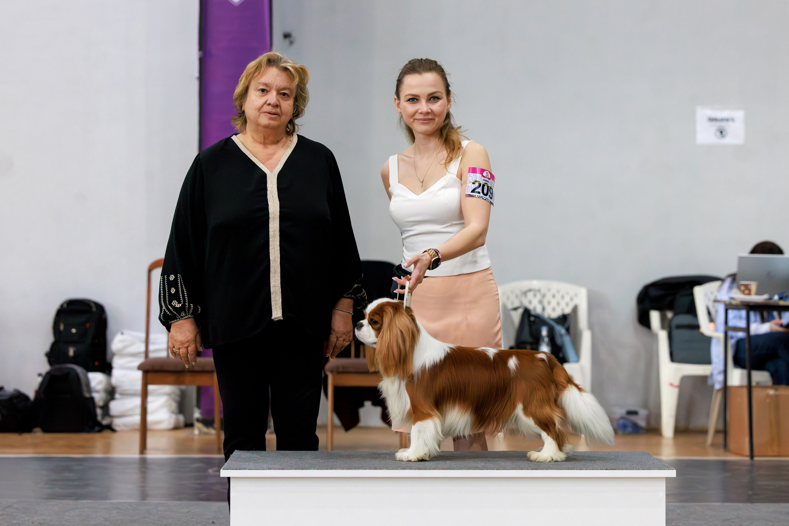 Ереван 2х CACIB 29-30.04.2025. Фотограф-анималист Юлия Германика