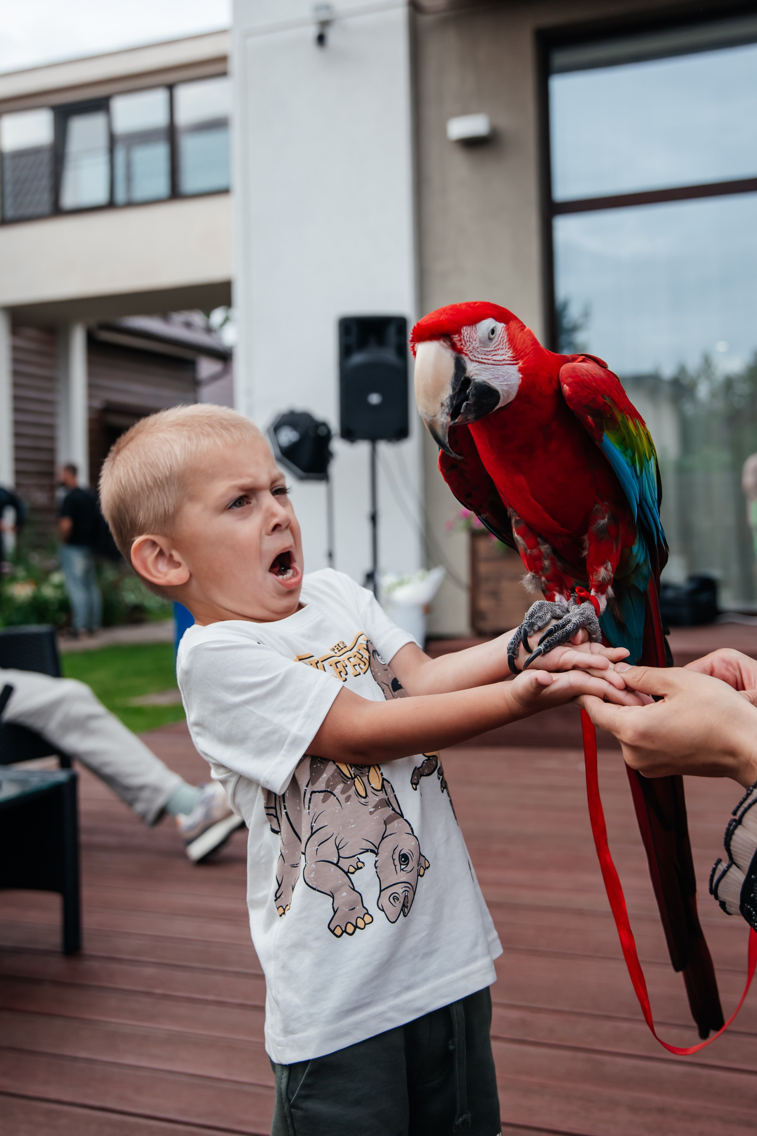 Юбилеи. Люксмедиа — это команда фотографов и видеографов. Город Казань. Дамир Сафин