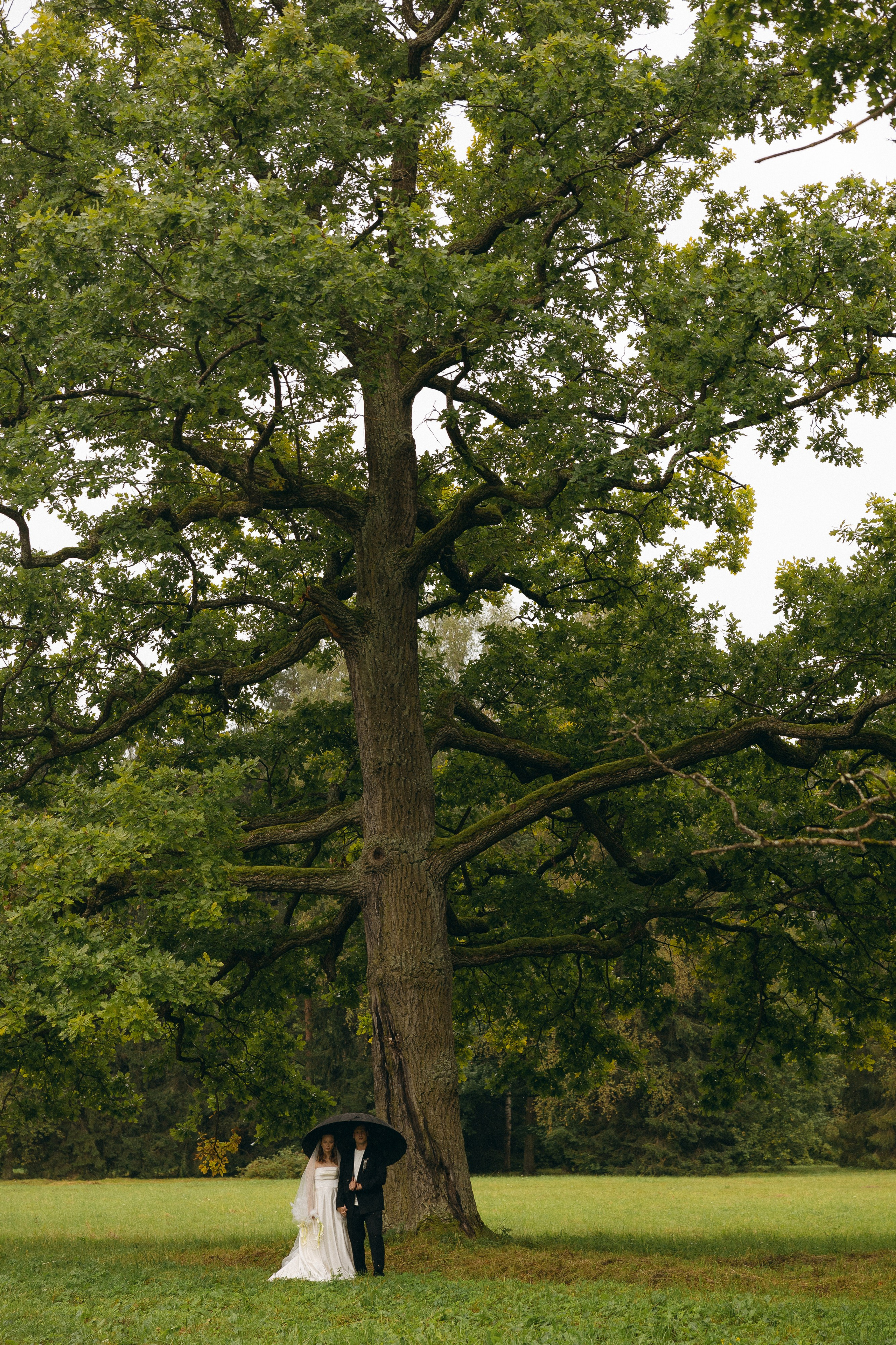 T&D. Свадебный фотограф Таня Караисаева