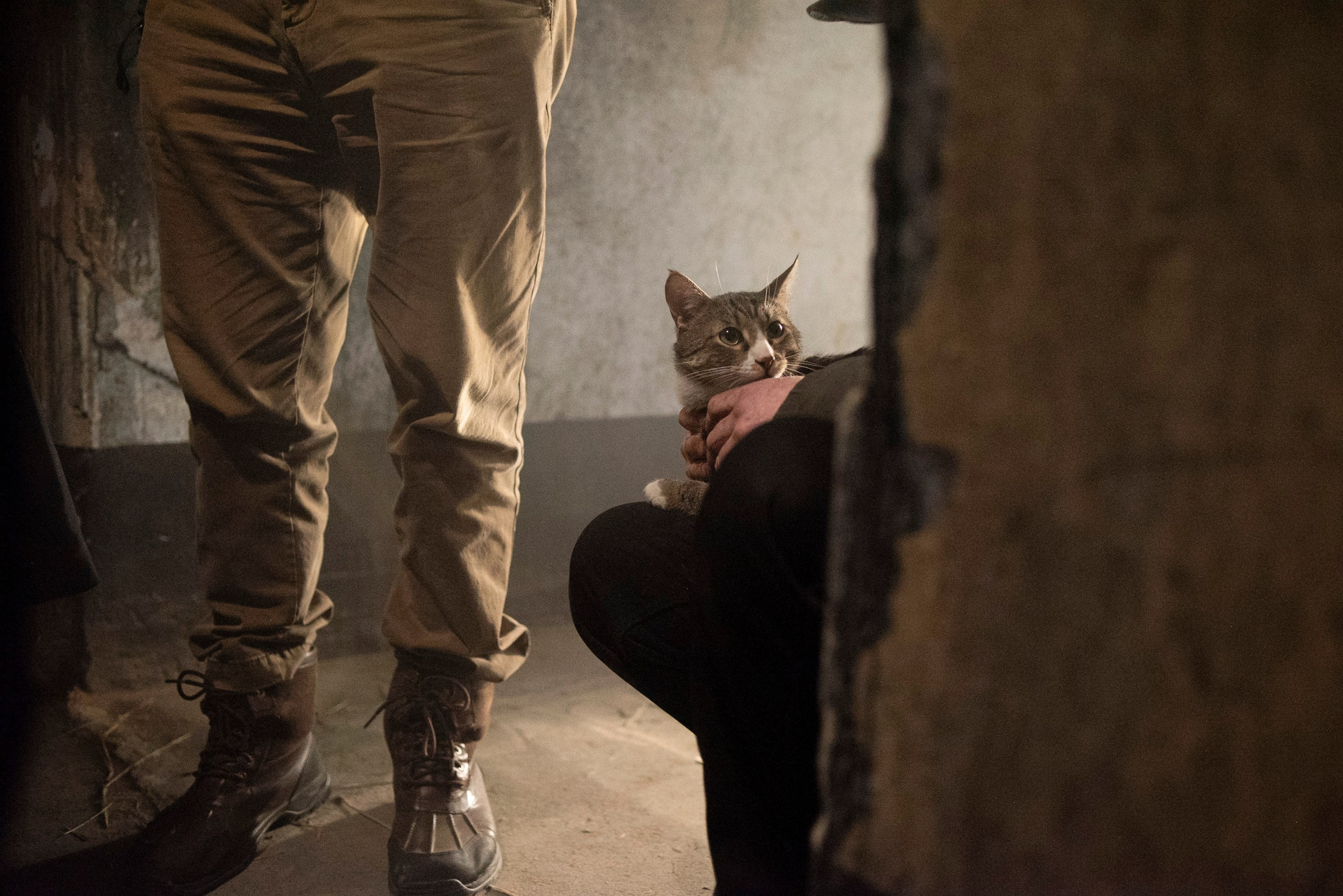 Егор Кончаловский «Большой Дом». May the numbers guide us