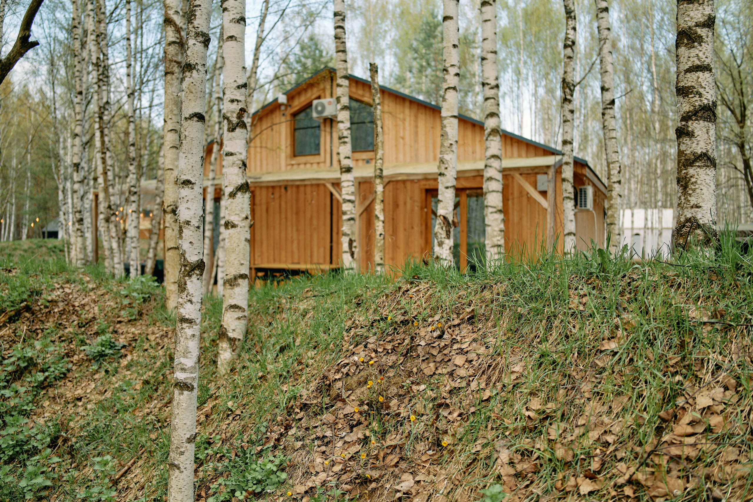 Бутик-отель Поле летом. Профессиональный Фотограф во Владимире, в Москве и в Суздале — Полина Романычева
