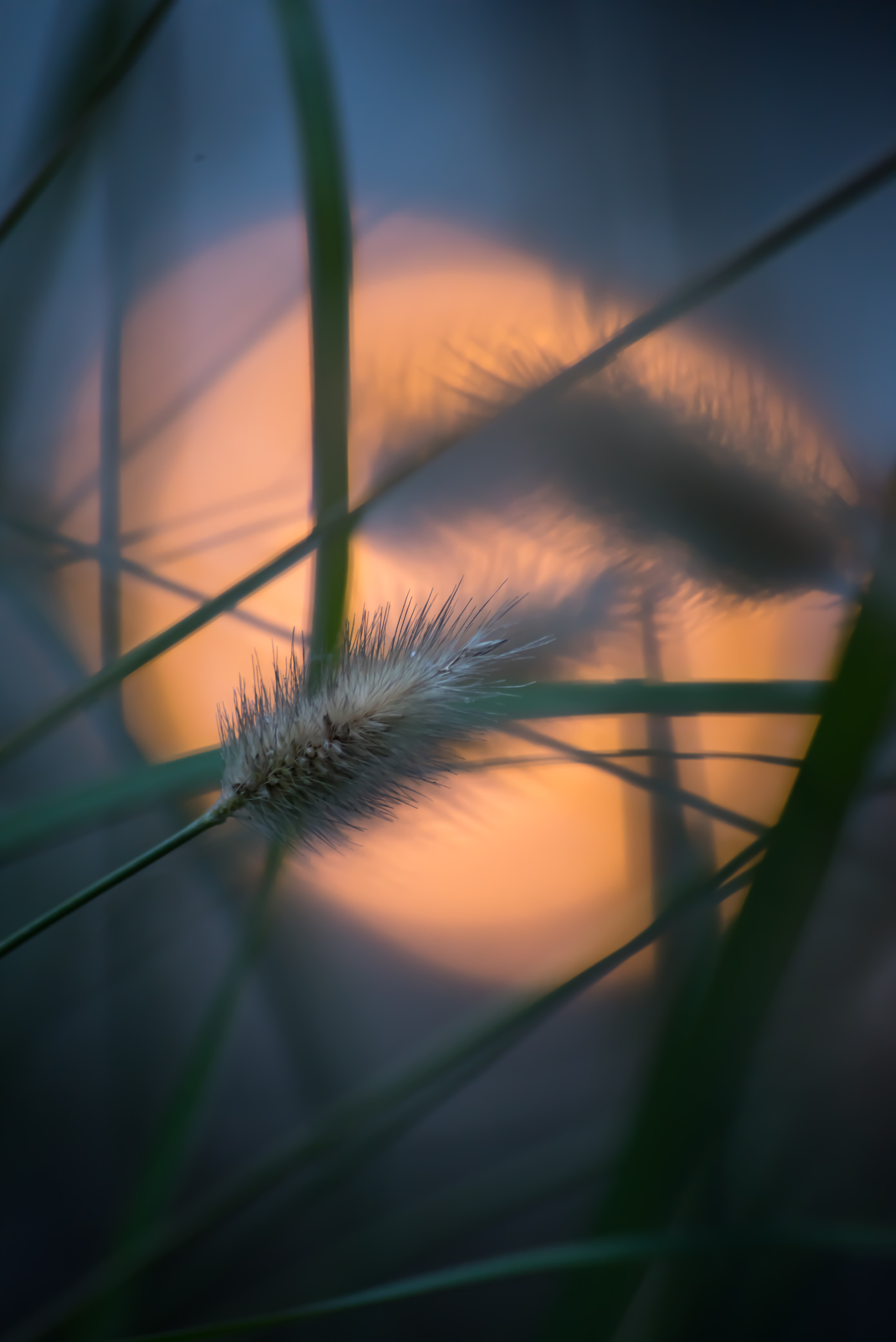 Смотрю на мир, показываю вам. Вадим Тес (Vadim Tes) Фотограф г. Москва