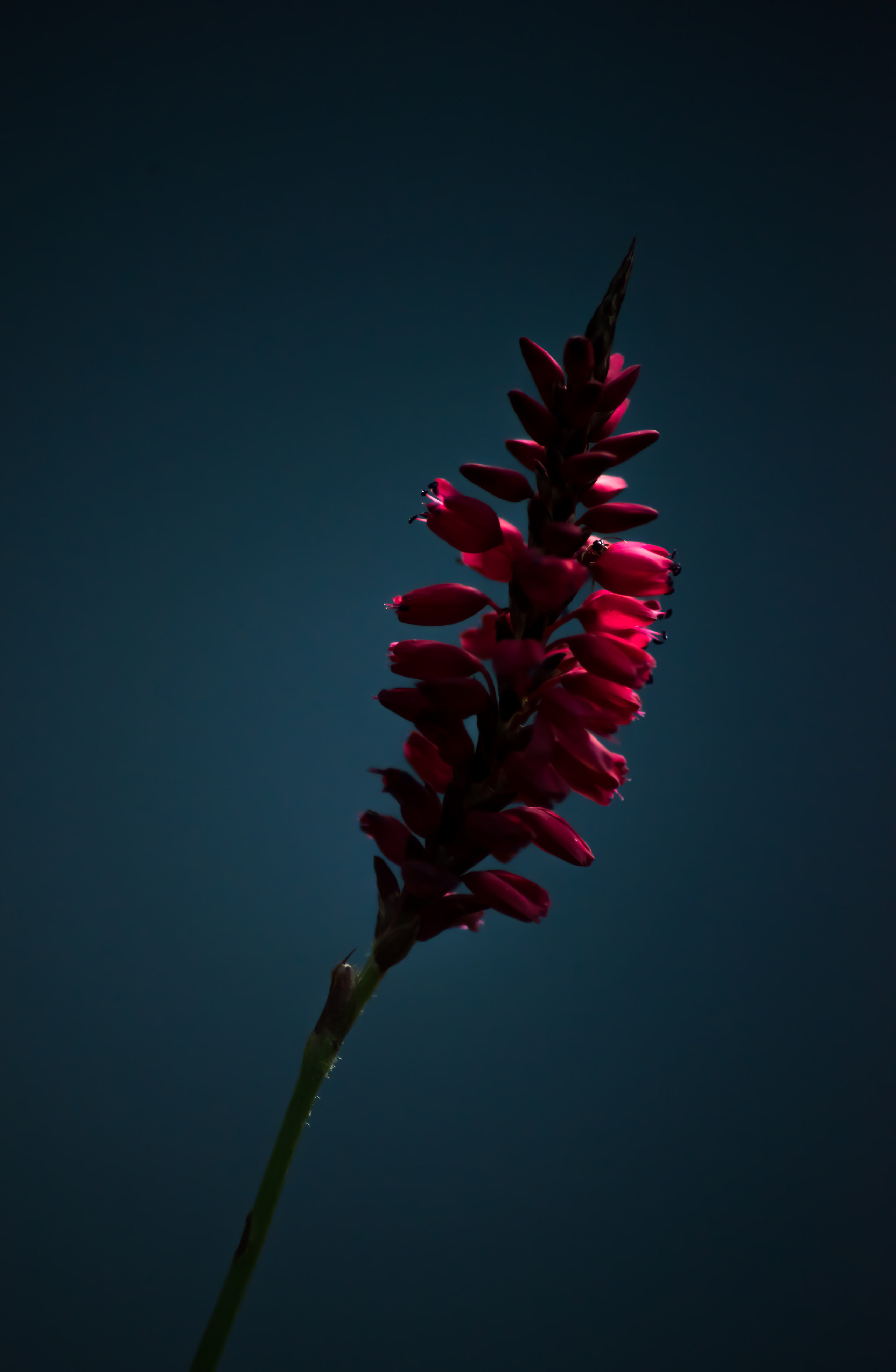 Смотрю на мир, показываю вам. Вадим Тес (Vadim Tes) Фотограф г. Москва