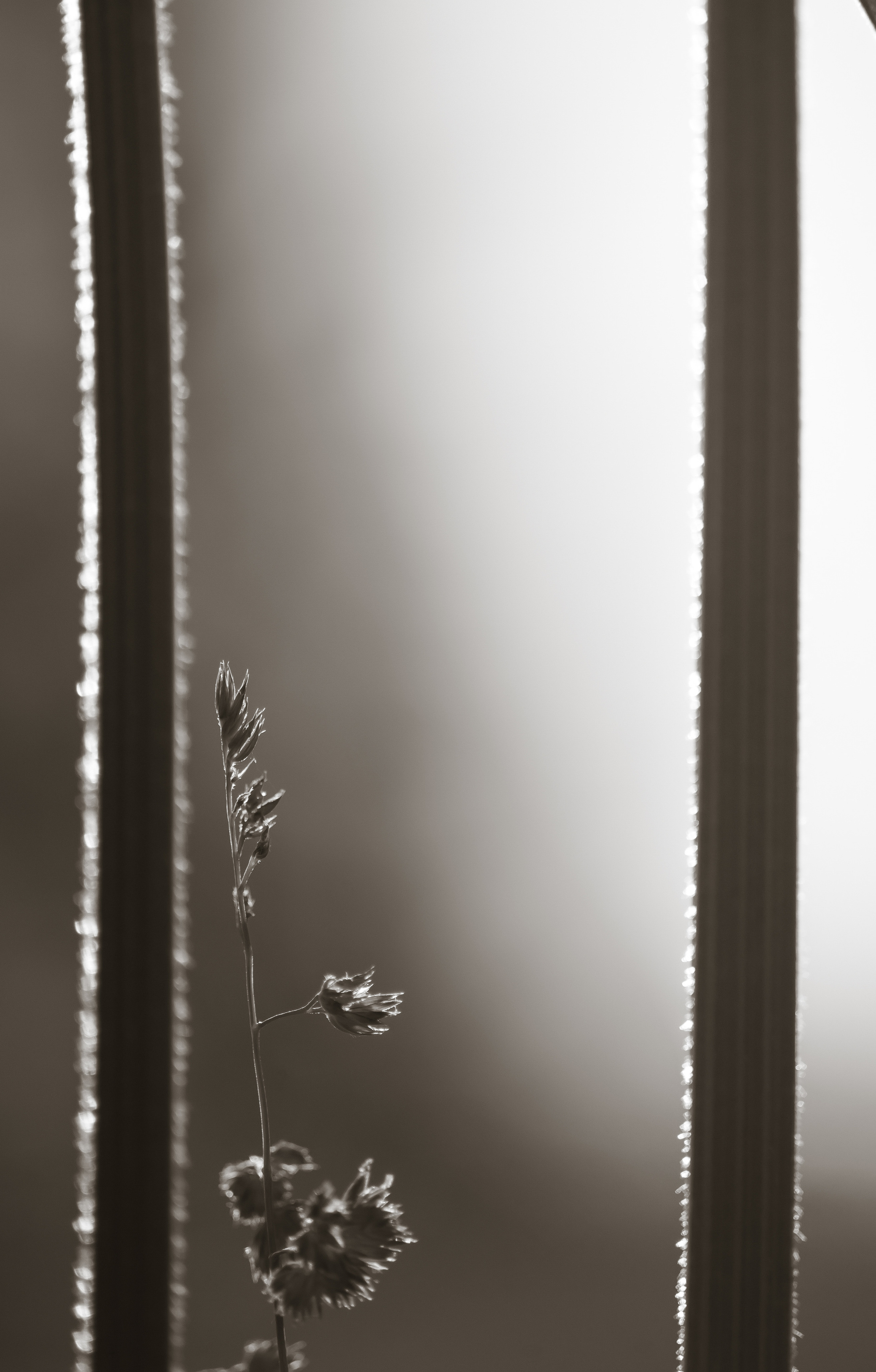 Смотрю на мир, показываю вам. Вадим Тес (Vadim Tes) Фотограф г. Москва