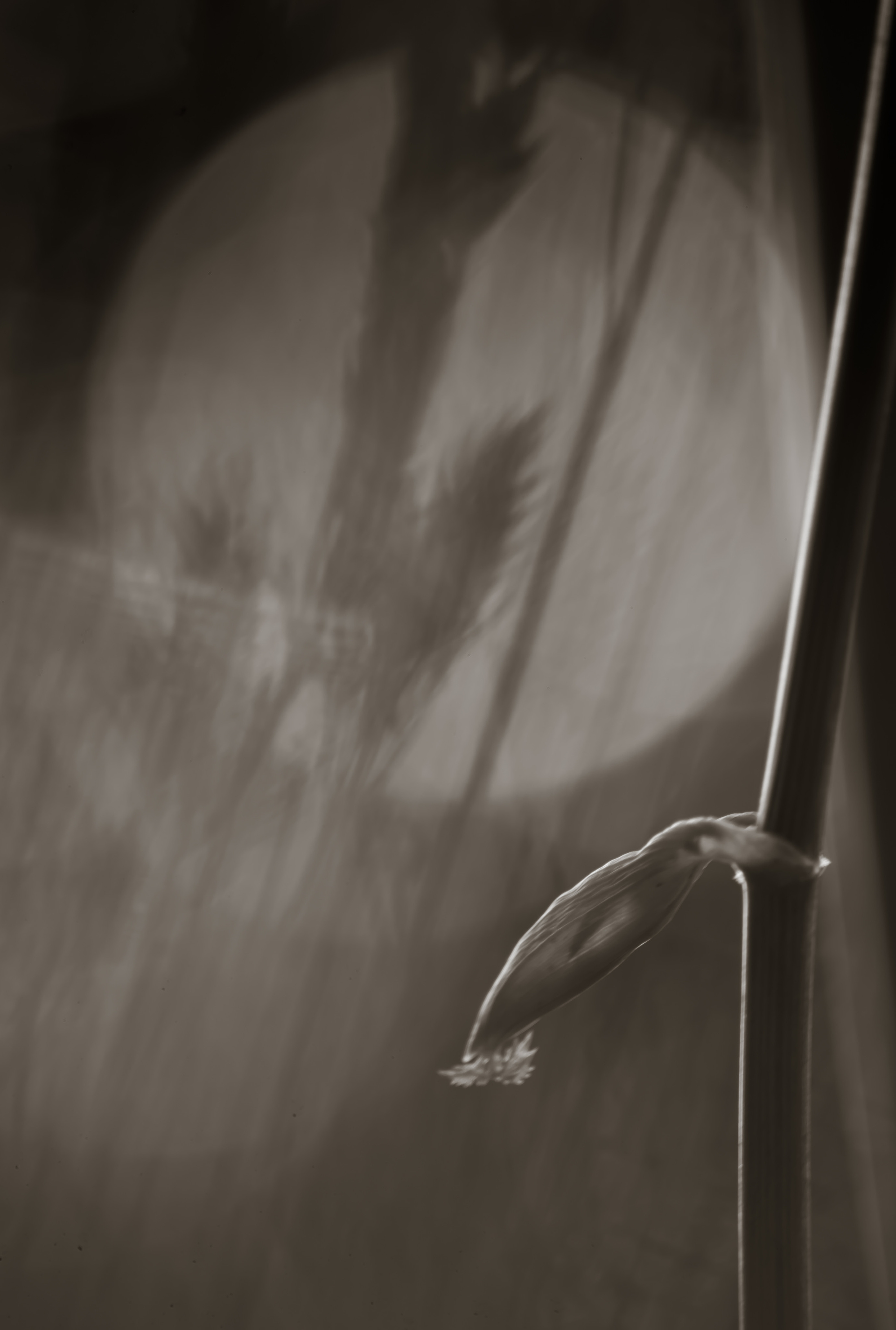 Смотрю на мир, показываю вам. Вадим Тес (Vadim Tes) Фотограф г. Москва