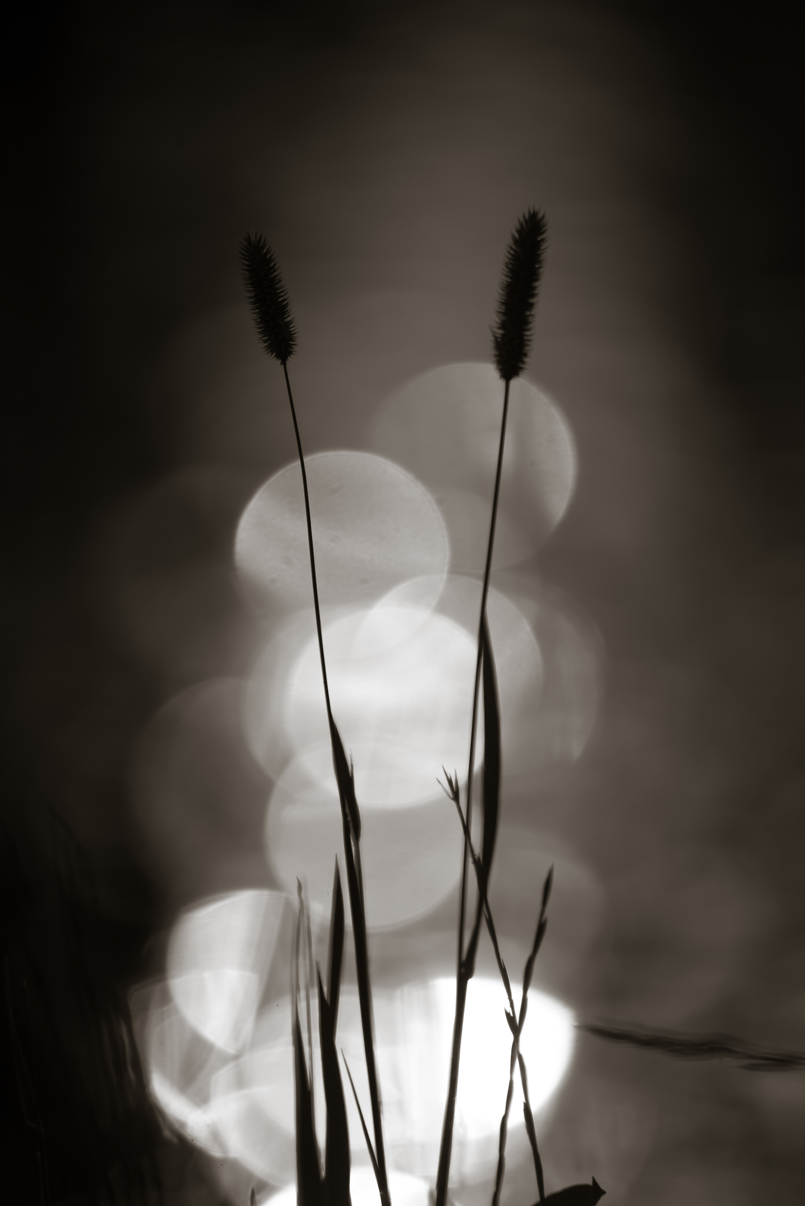 Смотрю на мир, показываю вам. Вадим Тес (Vadim Tes) Фотограф г. Москва