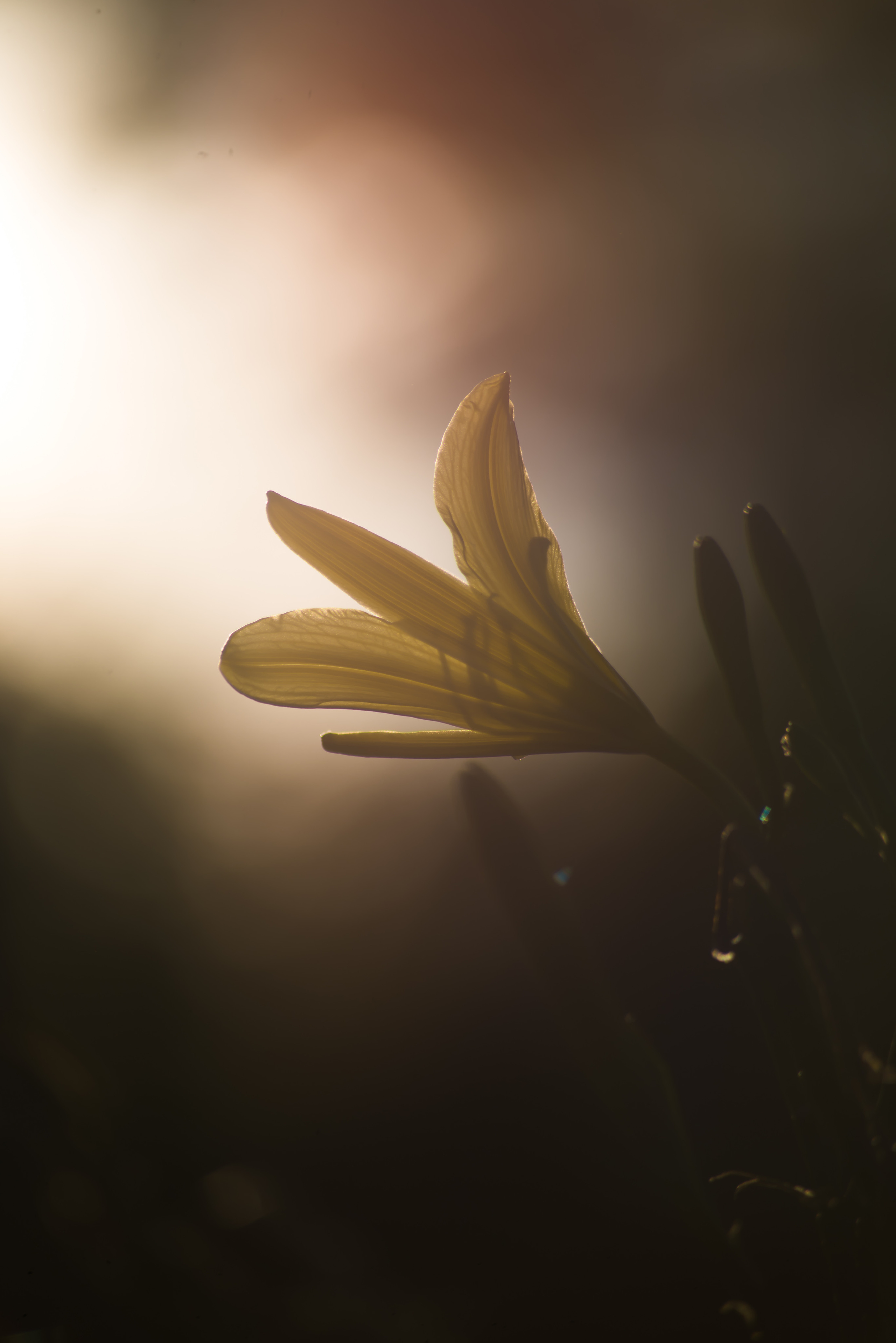 Смотрю на мир, показываю вам. Вадим Тес (Vadim Tes) Фотограф г. Москва