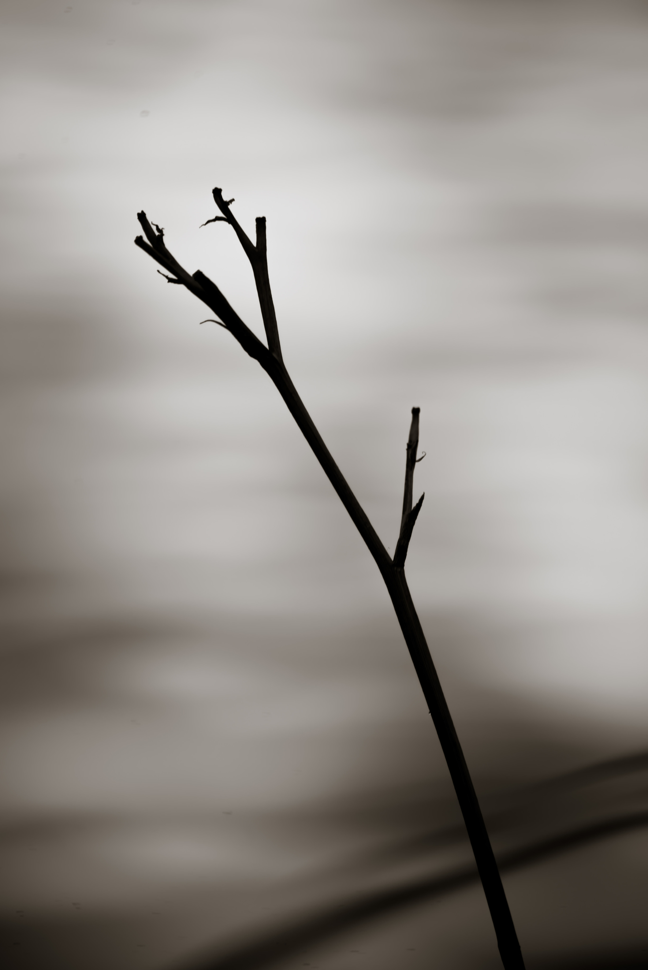 Смотрю на мир, показываю вам. Вадим Тес (Vadim Tes) Фотограф г. Москва