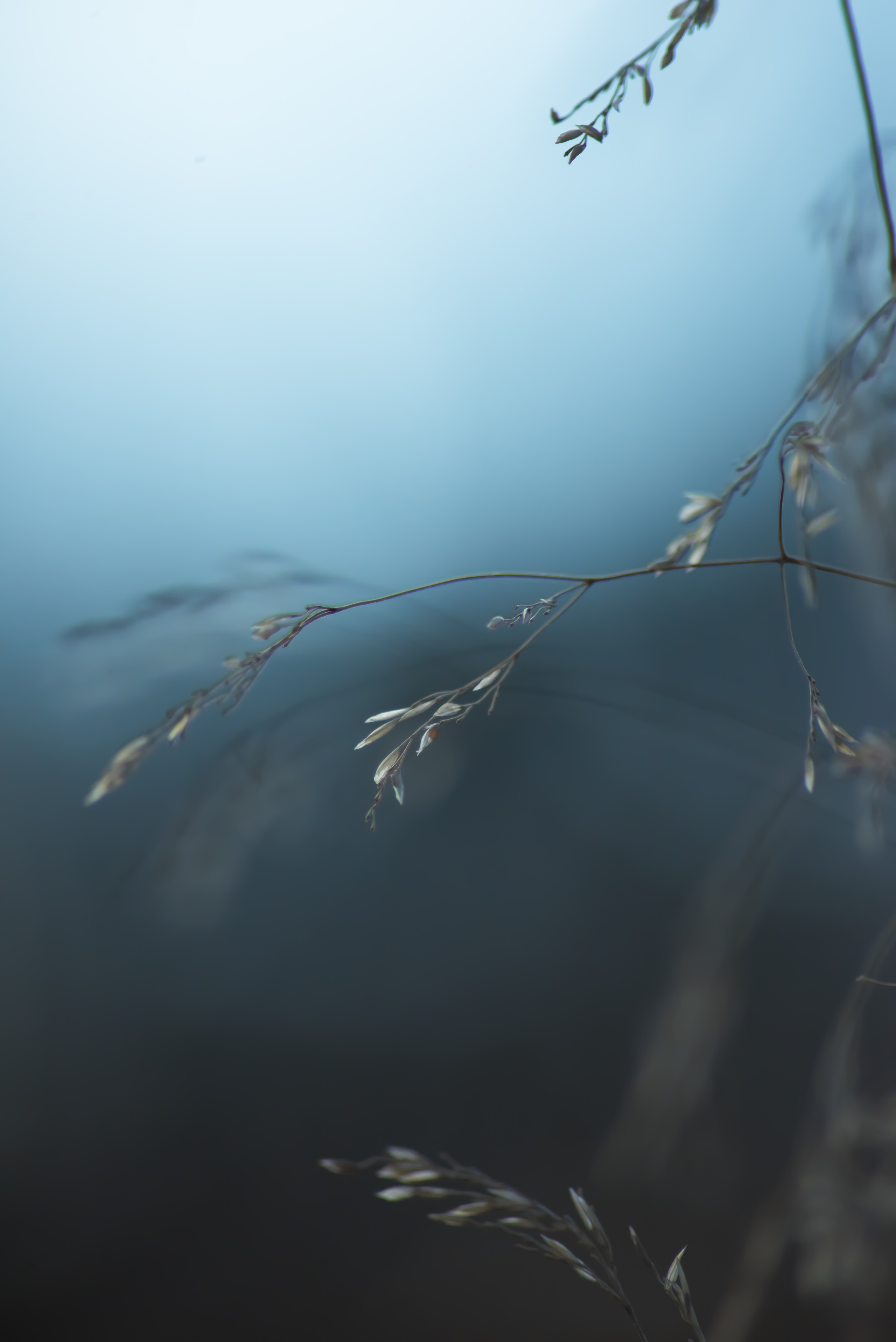 Смотрю на мир, показываю вам. Вадим Тес (Vadim Tes) Фотограф г. Москва