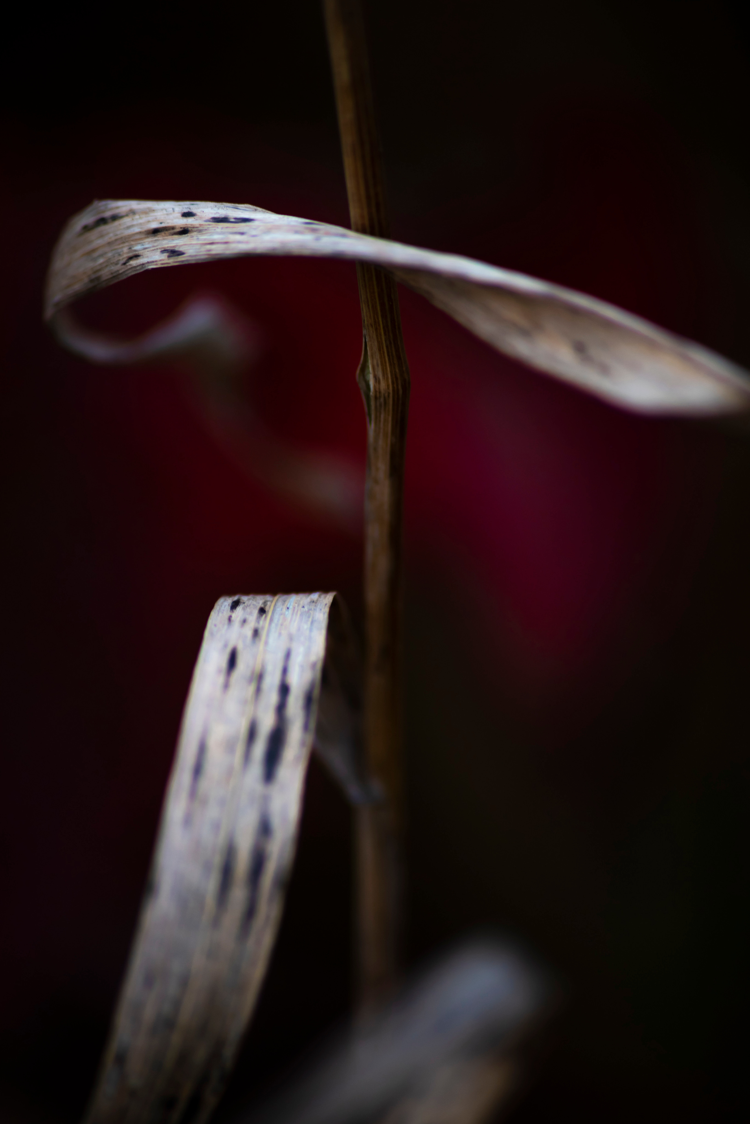 Смотрю на мир, показываю вам. Вадим Тес (Vadim Tes) Фотограф г. Москва