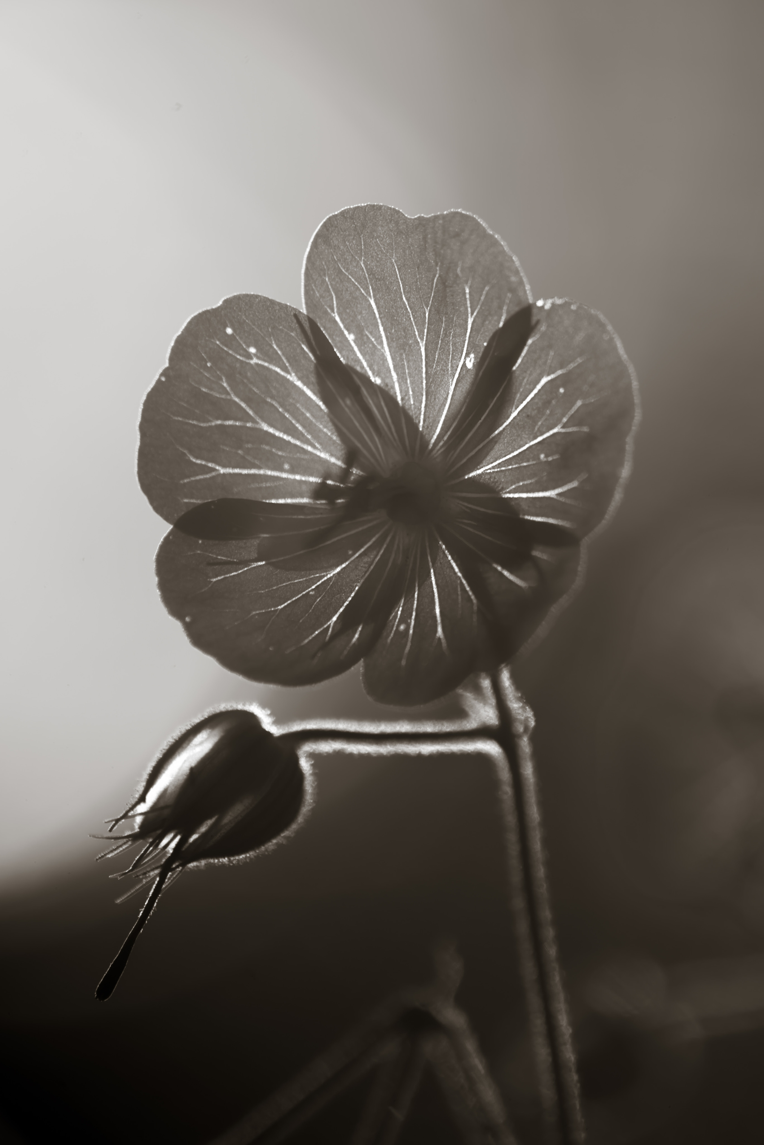 Смотрю на мир, показываю вам. Вадим Тес (Vadim Tes) Фотограф г. Москва