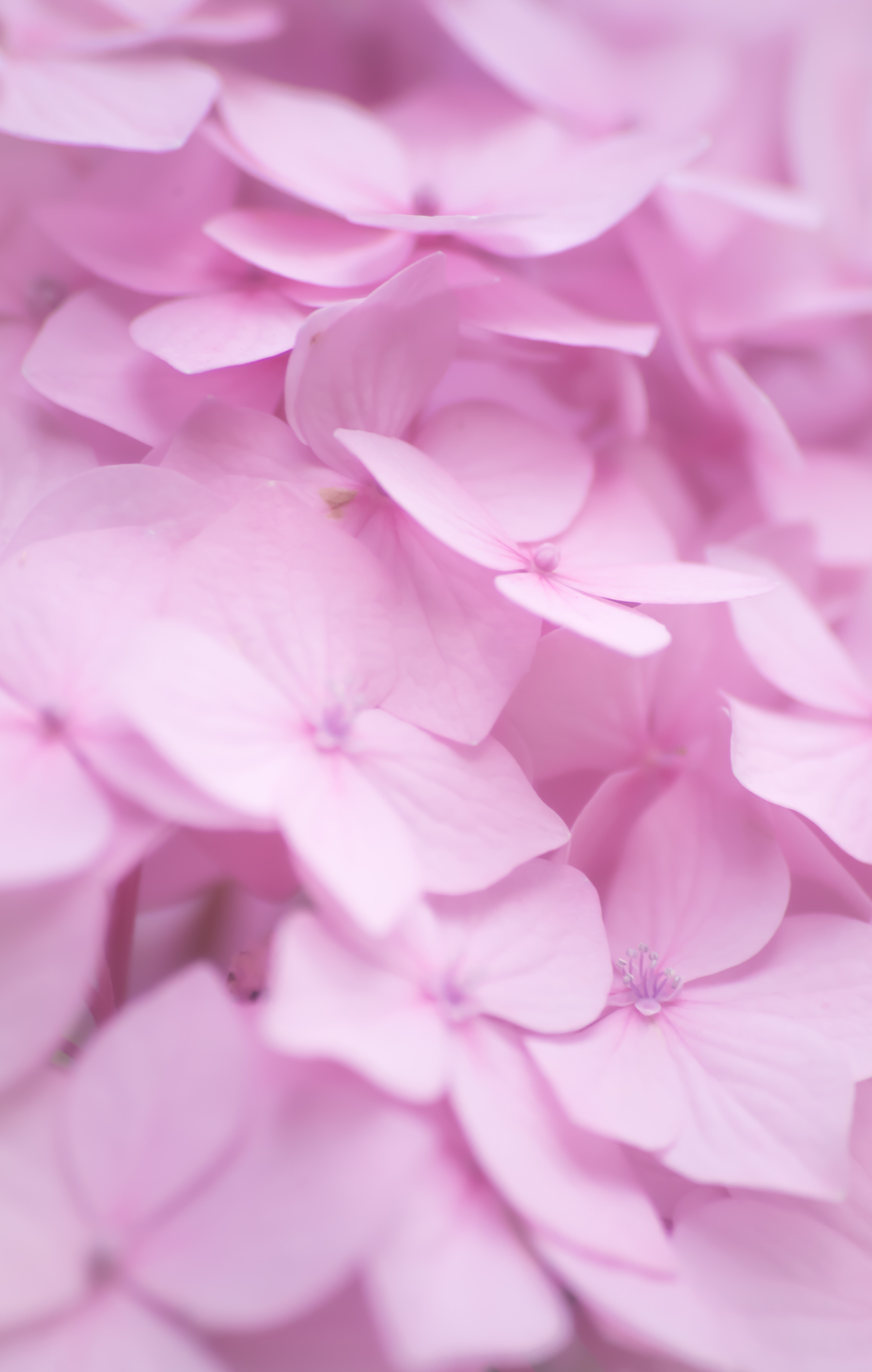 Смотрю на мир, показываю вам. Вадим Тес (Vadim Tes) Фотограф г. Москва