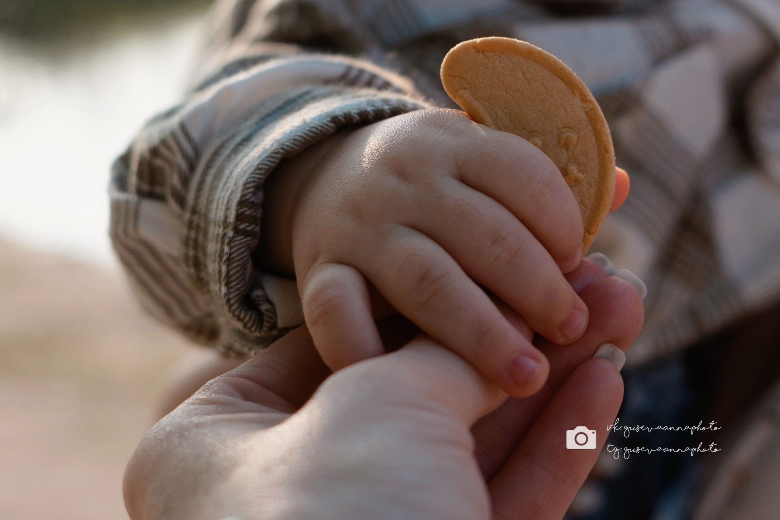 Семейные фотосессии. Фотограф в Старом Осколе Гусева Анна