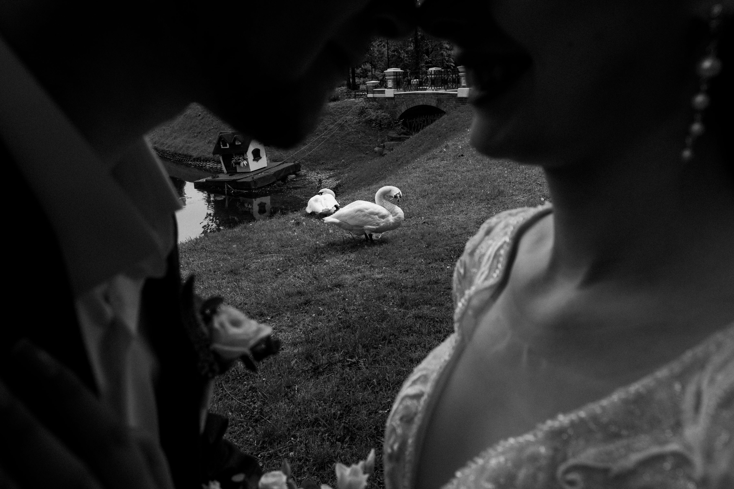 Свадебная фотография в Рыбинске и Ярославле. Фотограф в Ярославле и Рыбинске — Николай Козерин