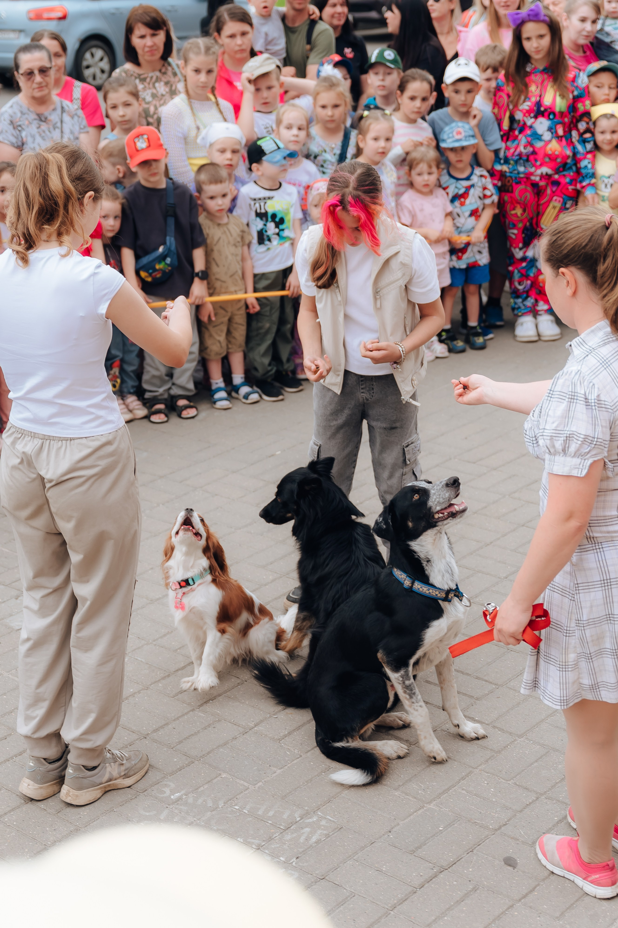 Открытие Мультифокс. Детский и семейный фотограф Катерина Мишина