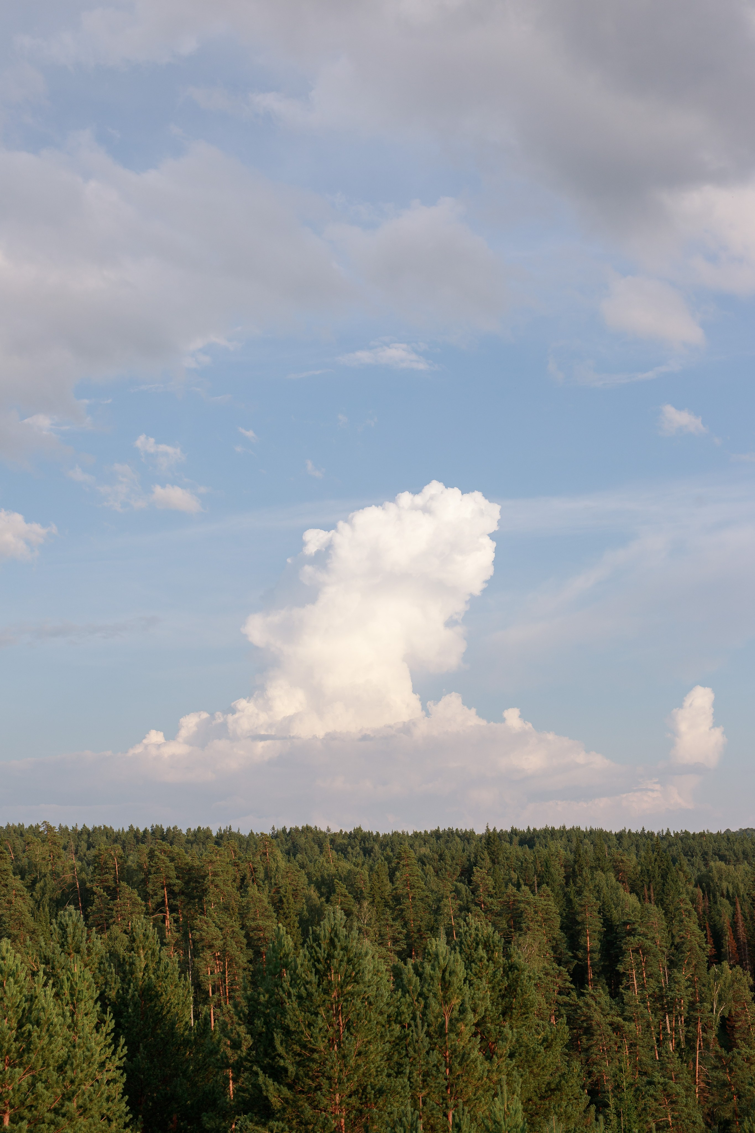Ксения. Фотограф Анастасия Петрова