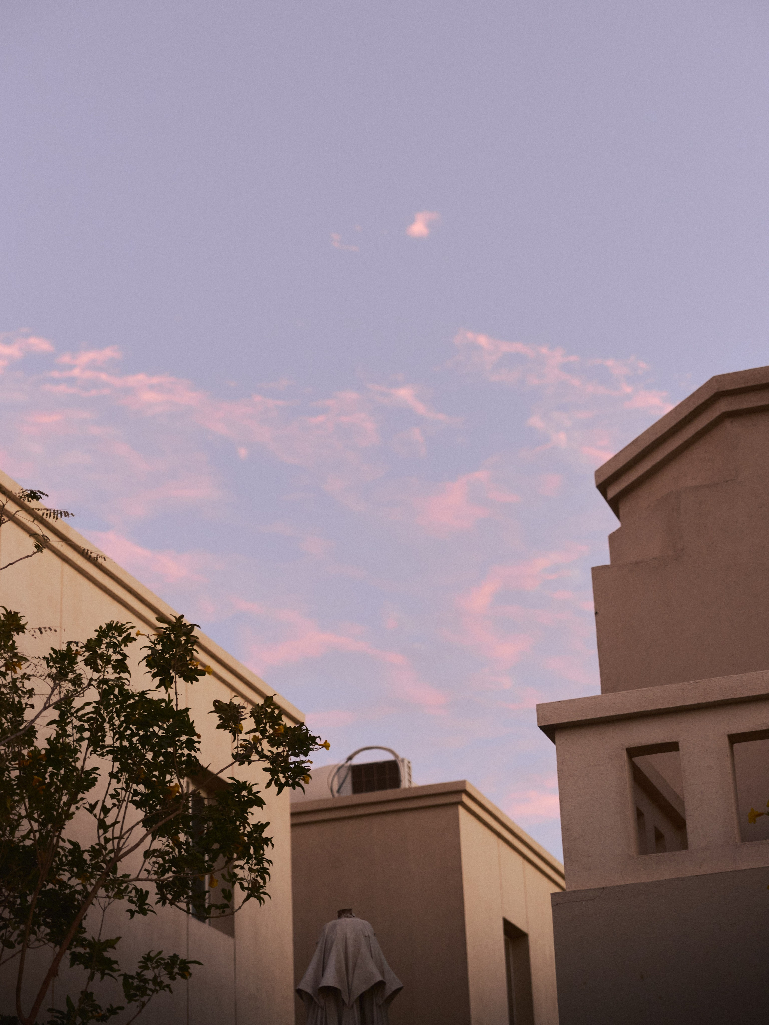 Природа сквозь. Jorgis Talè — photographer, kind person, teacher of arts and other mag