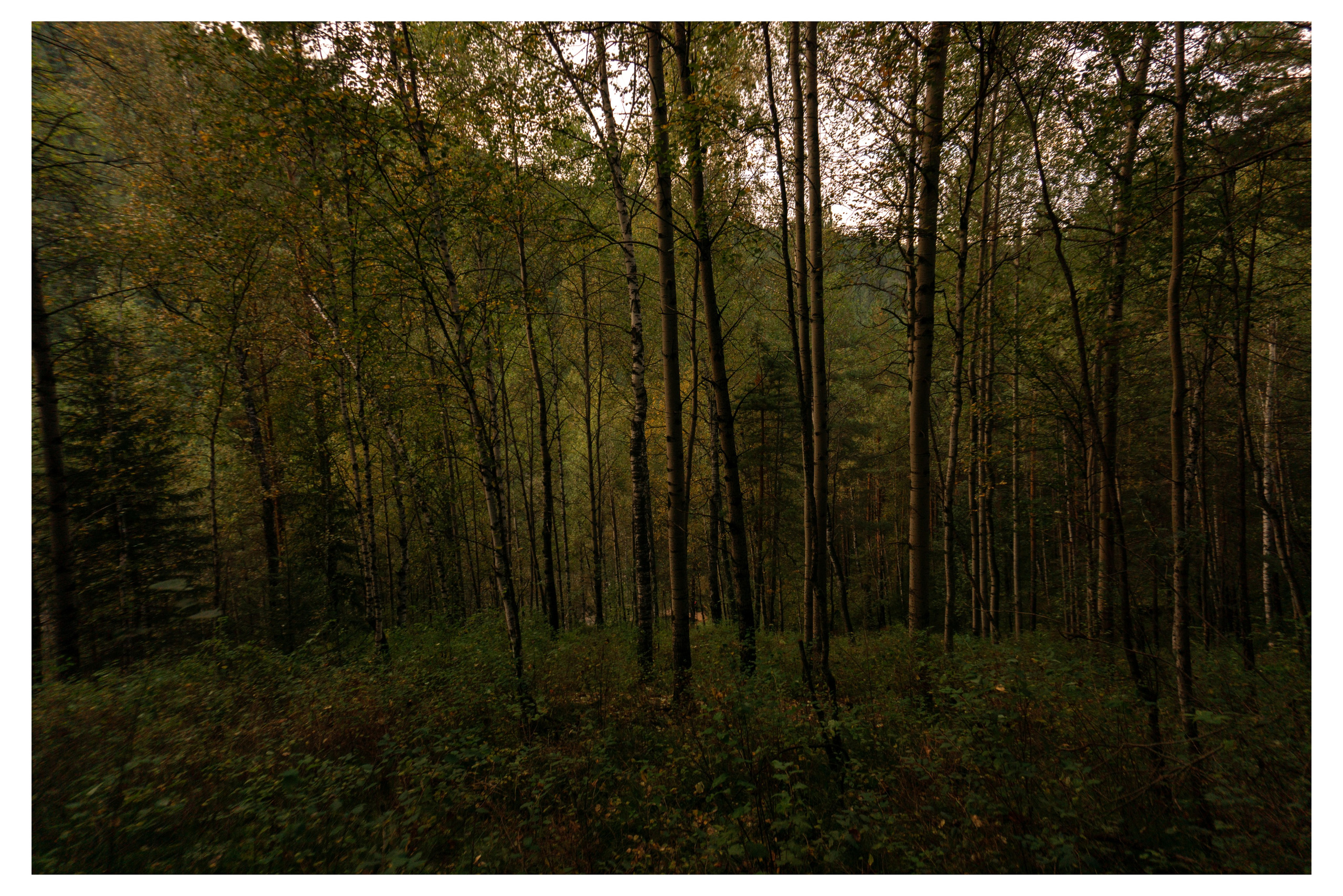 28.08.2025 | Красноярск. Kuznetsov | Фотограф в Красноярске