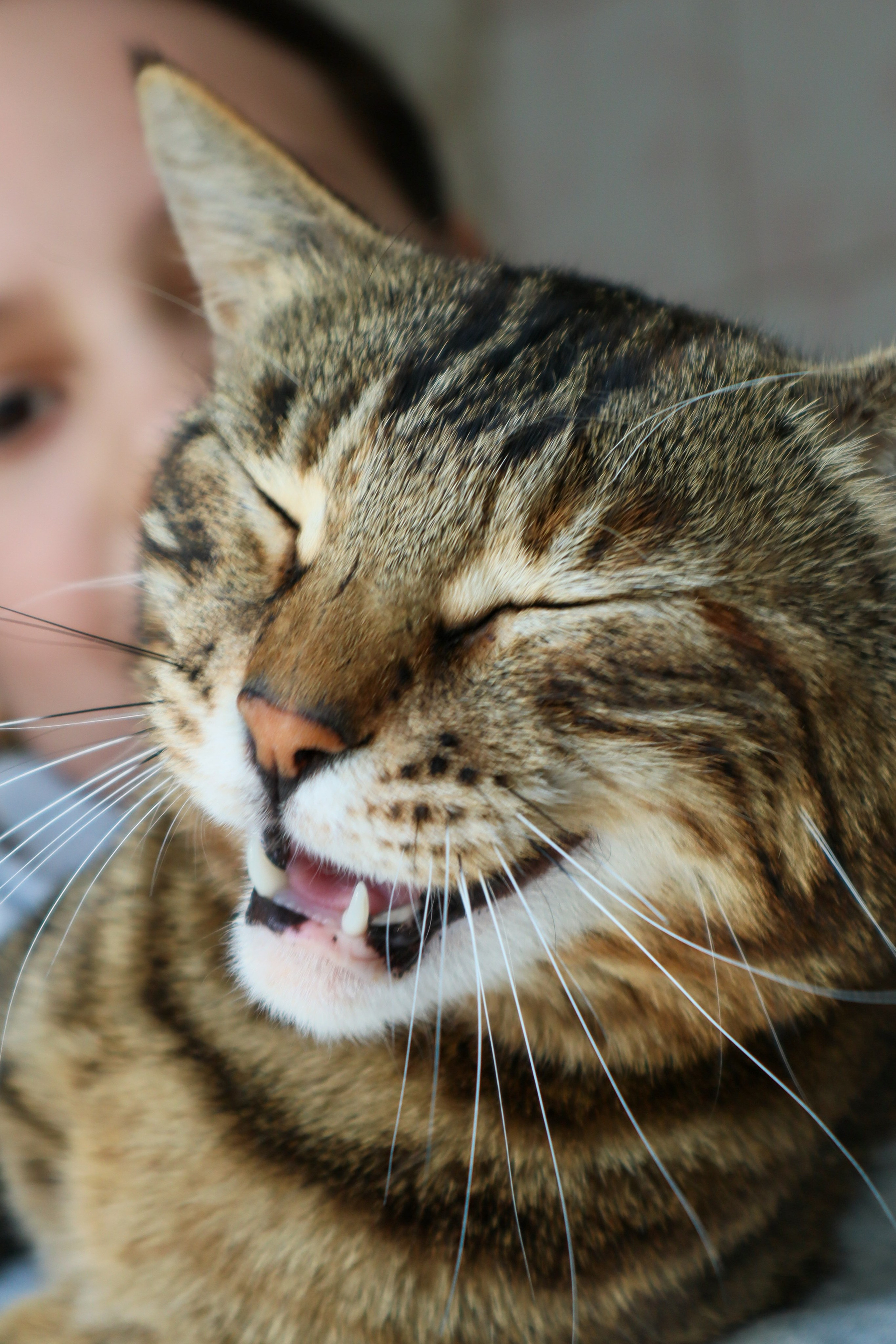 Животный мир. Фотограф в Южно-Сахалинске Гусаков Евгений