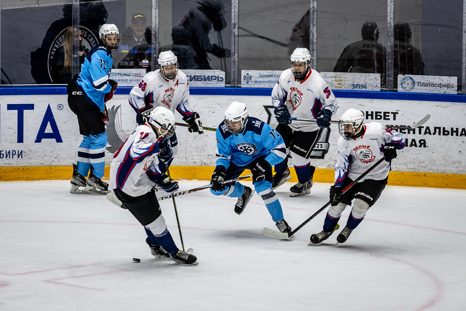 Сибирь (ЮХЛ). Bertran Ordo