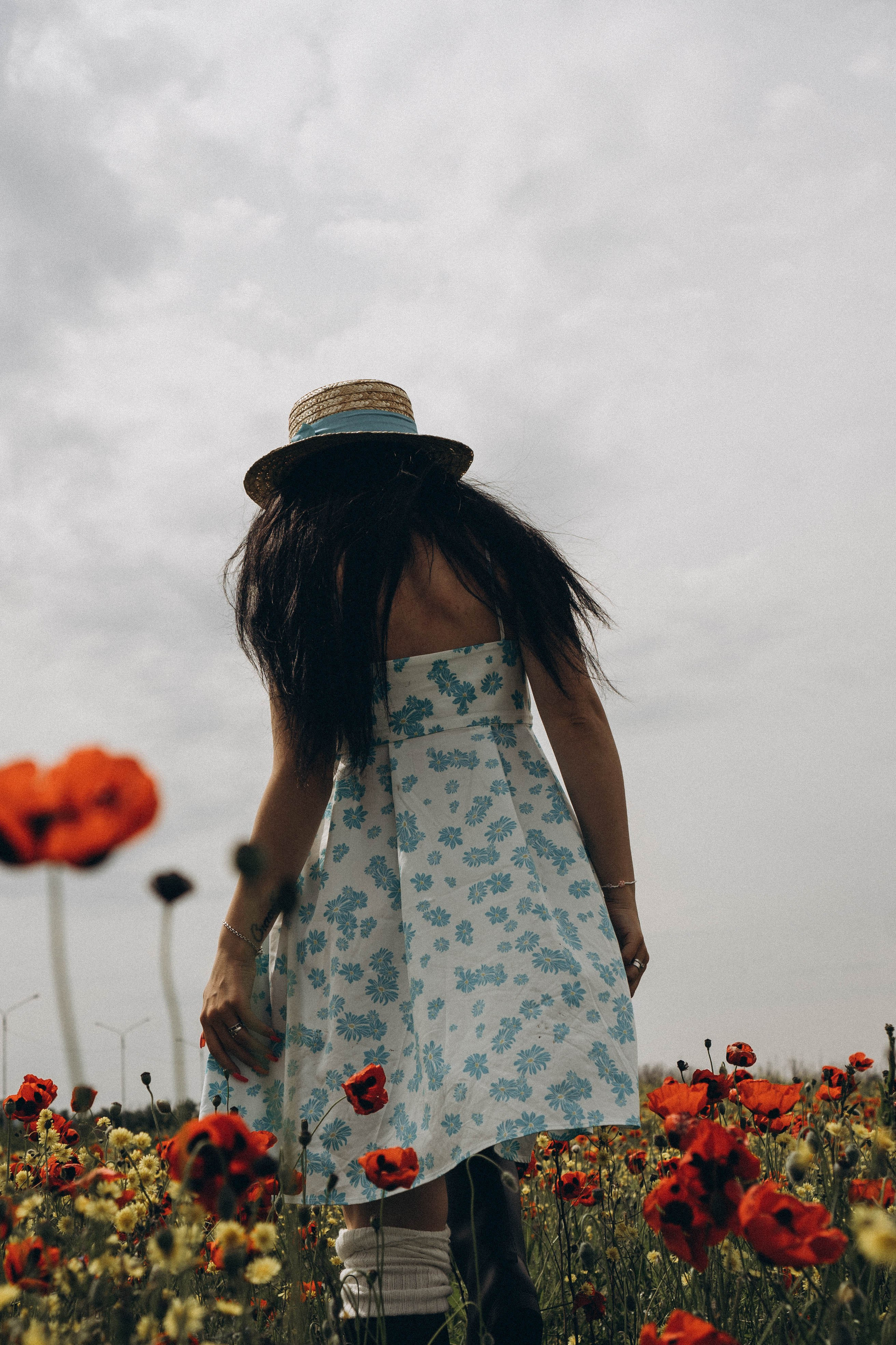 Цветочная поляна. Профессиональный фотограф, Санкт-Петербург — Виктория Богомолова