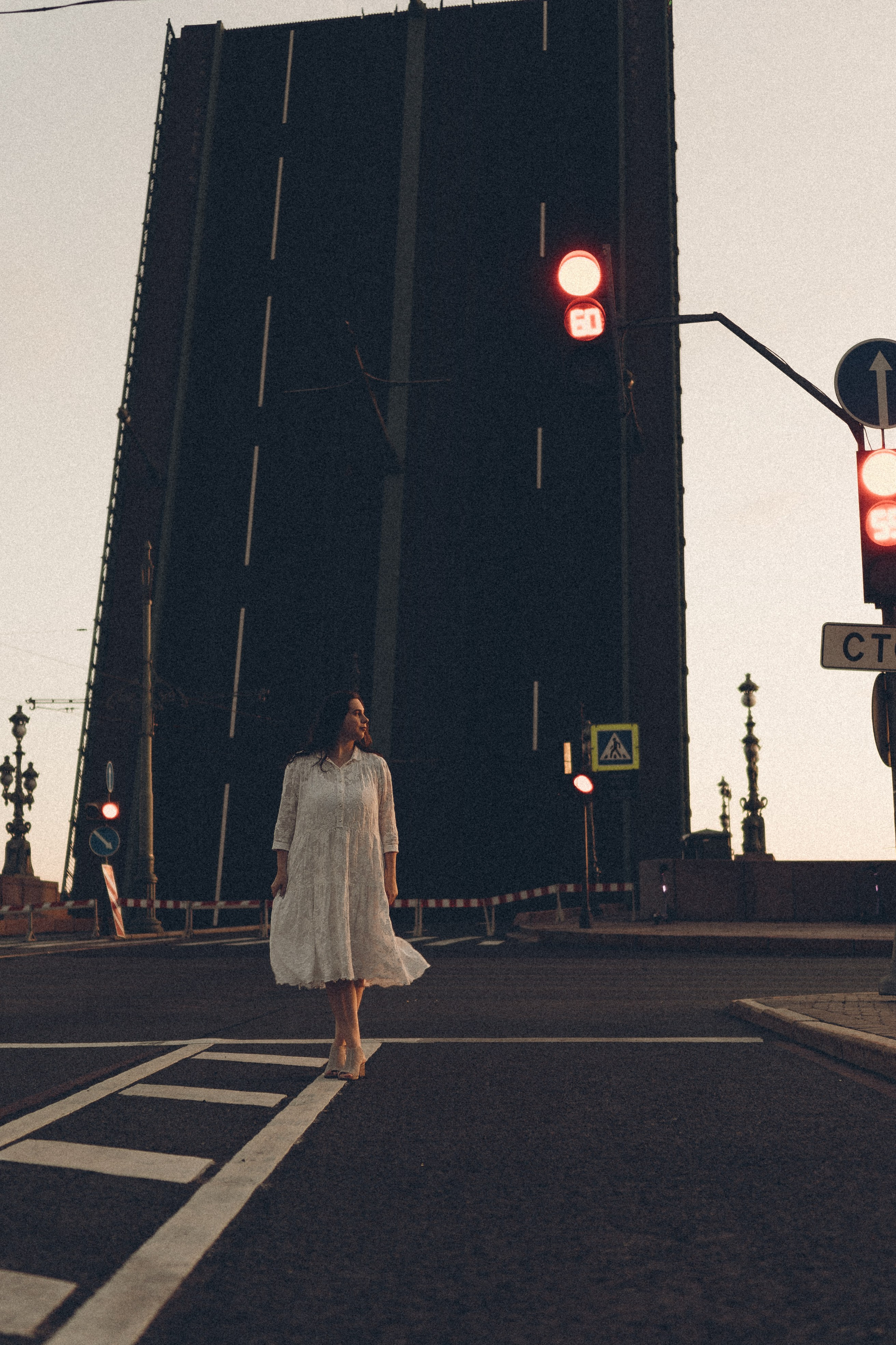 РАССВЕТ С РАЗВОДНЫМИ МОСТАМИ. Профессиональный фотограф, Санкт-Петербург — Виктория Богомолова