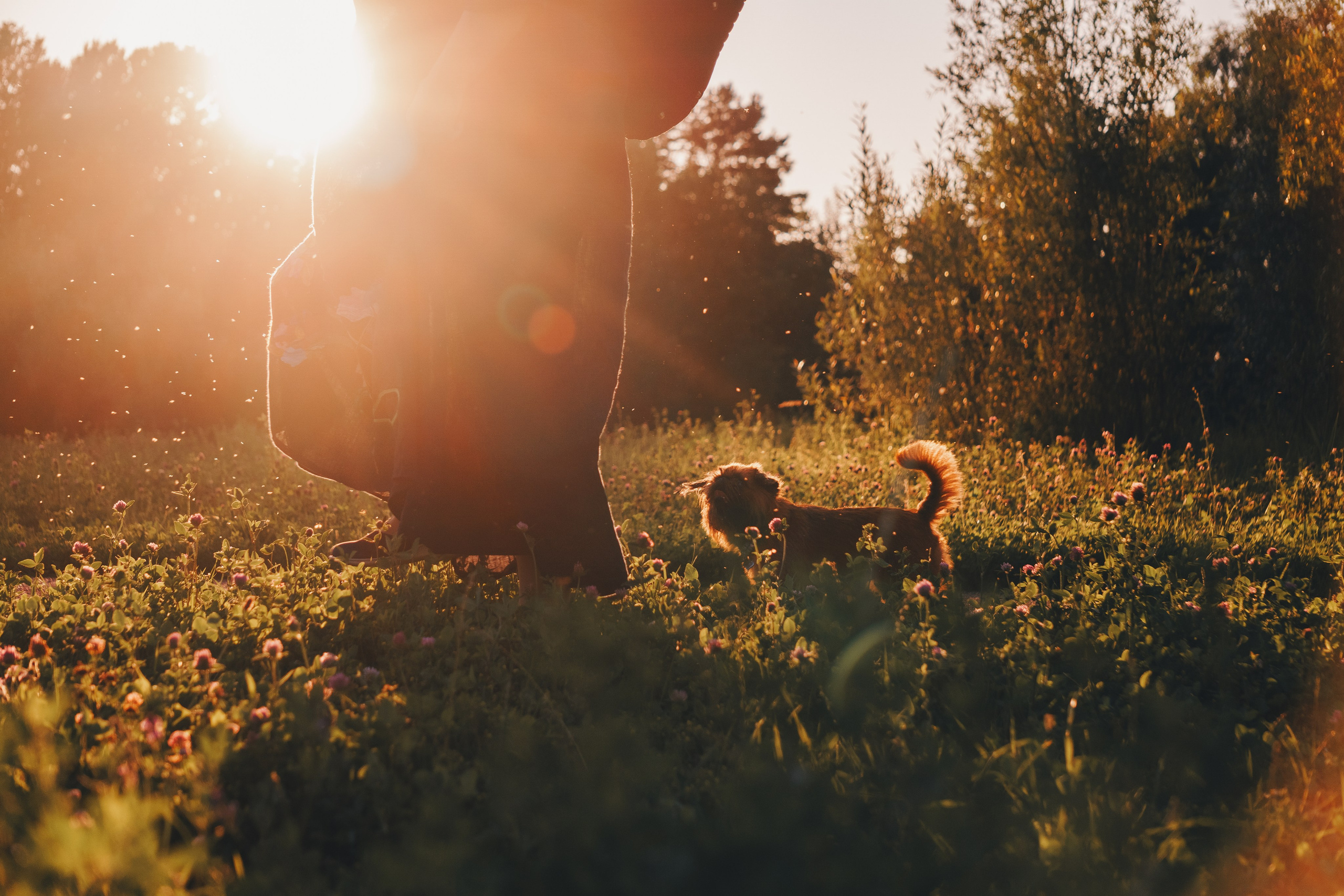 Катя и Яшма. Фотограф-анималист Ксения Воробьева, Москва