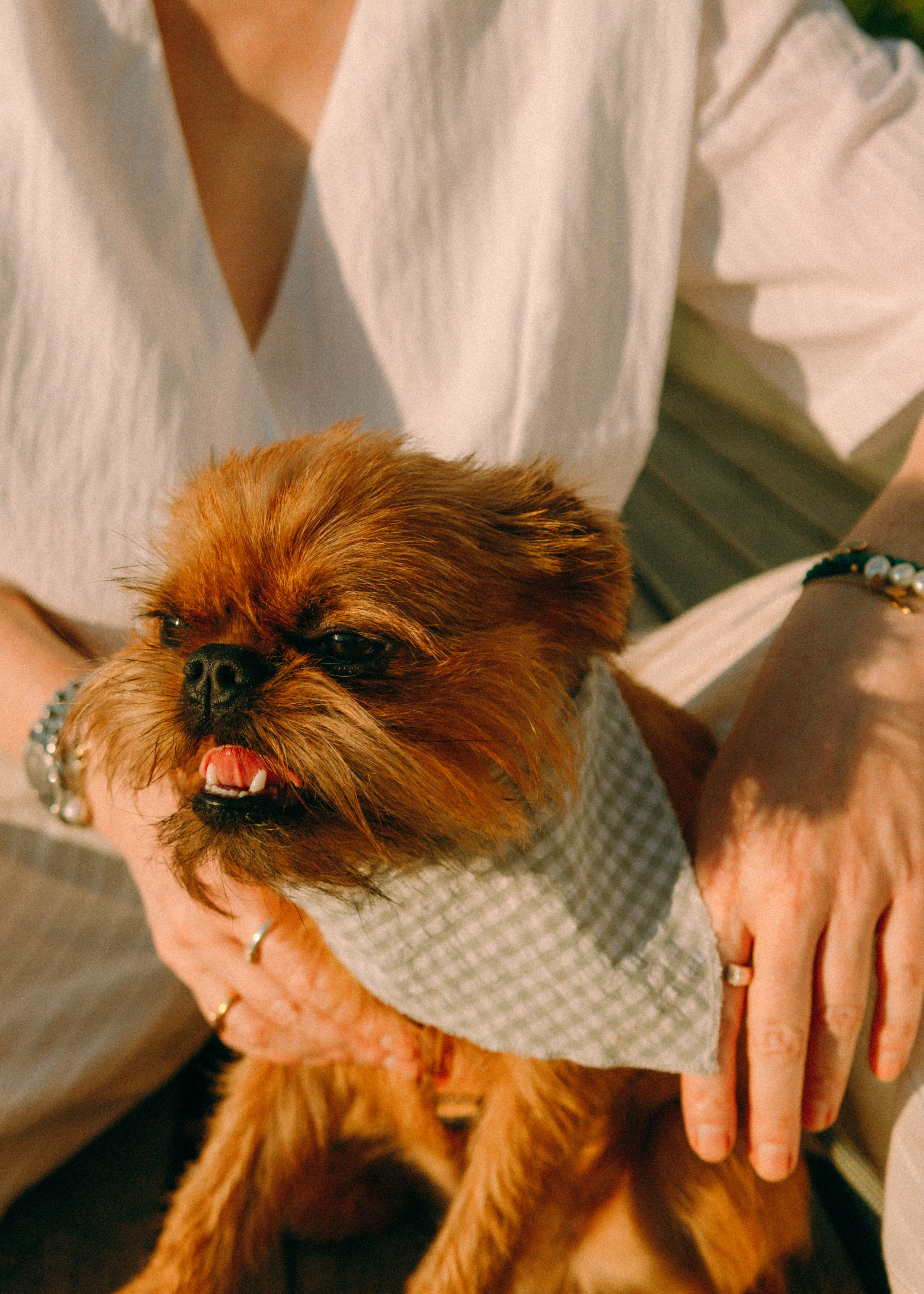 Лена и Альфи. Фотограф-анималист Ксения Воробьева, Москва