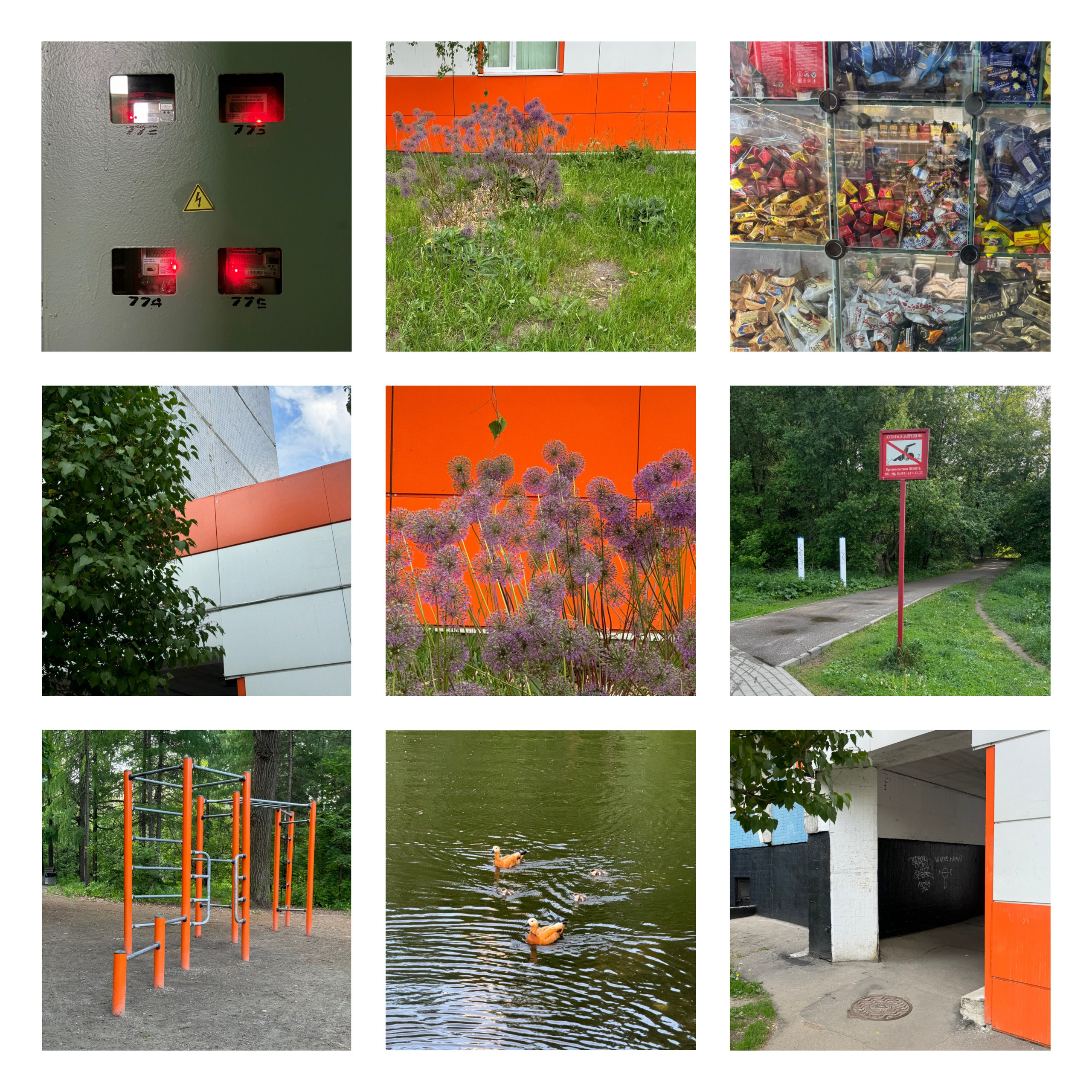 Коллажи. Свадебный фотограф в Москве Сафонова Анна