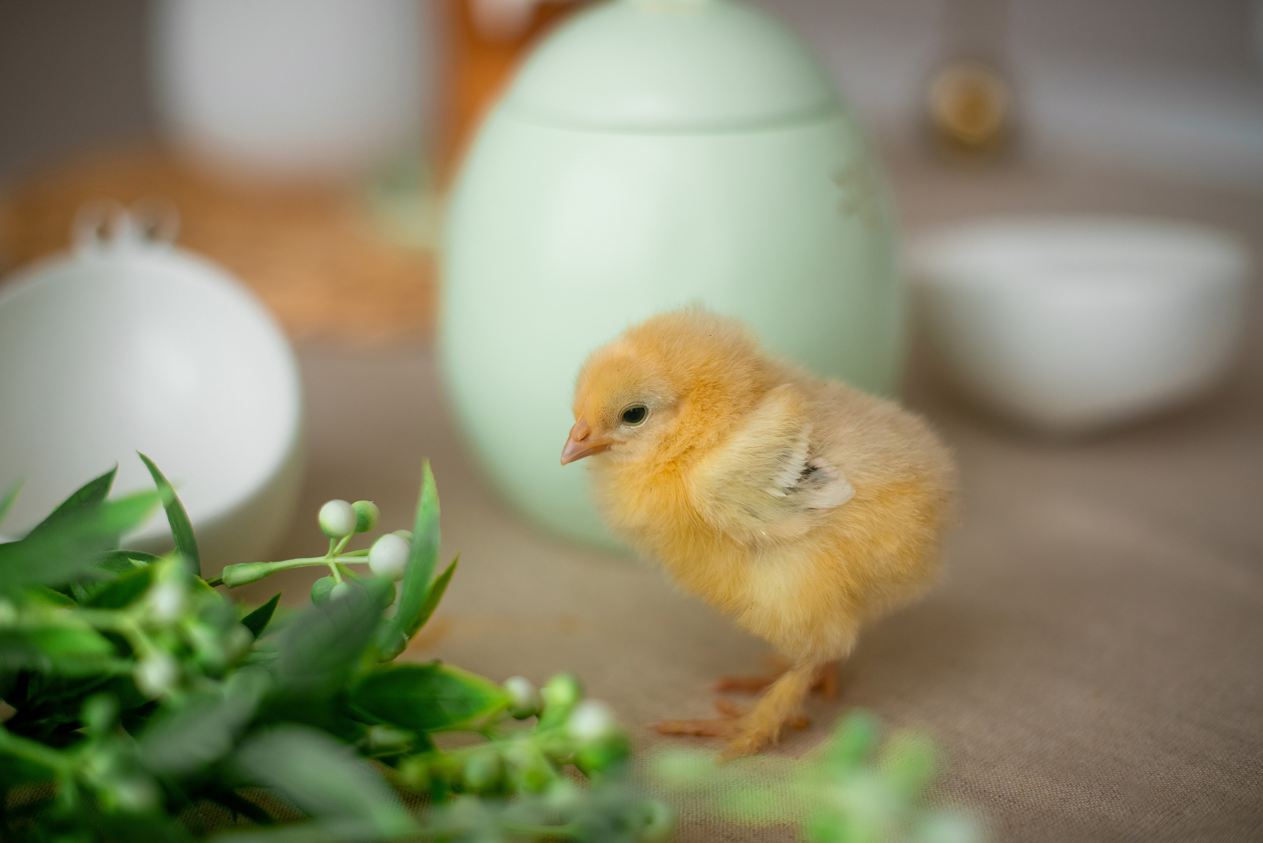 Семья и дети. Детский, свадебный и семейный фотограф в Волгограде Наталья Давыдова