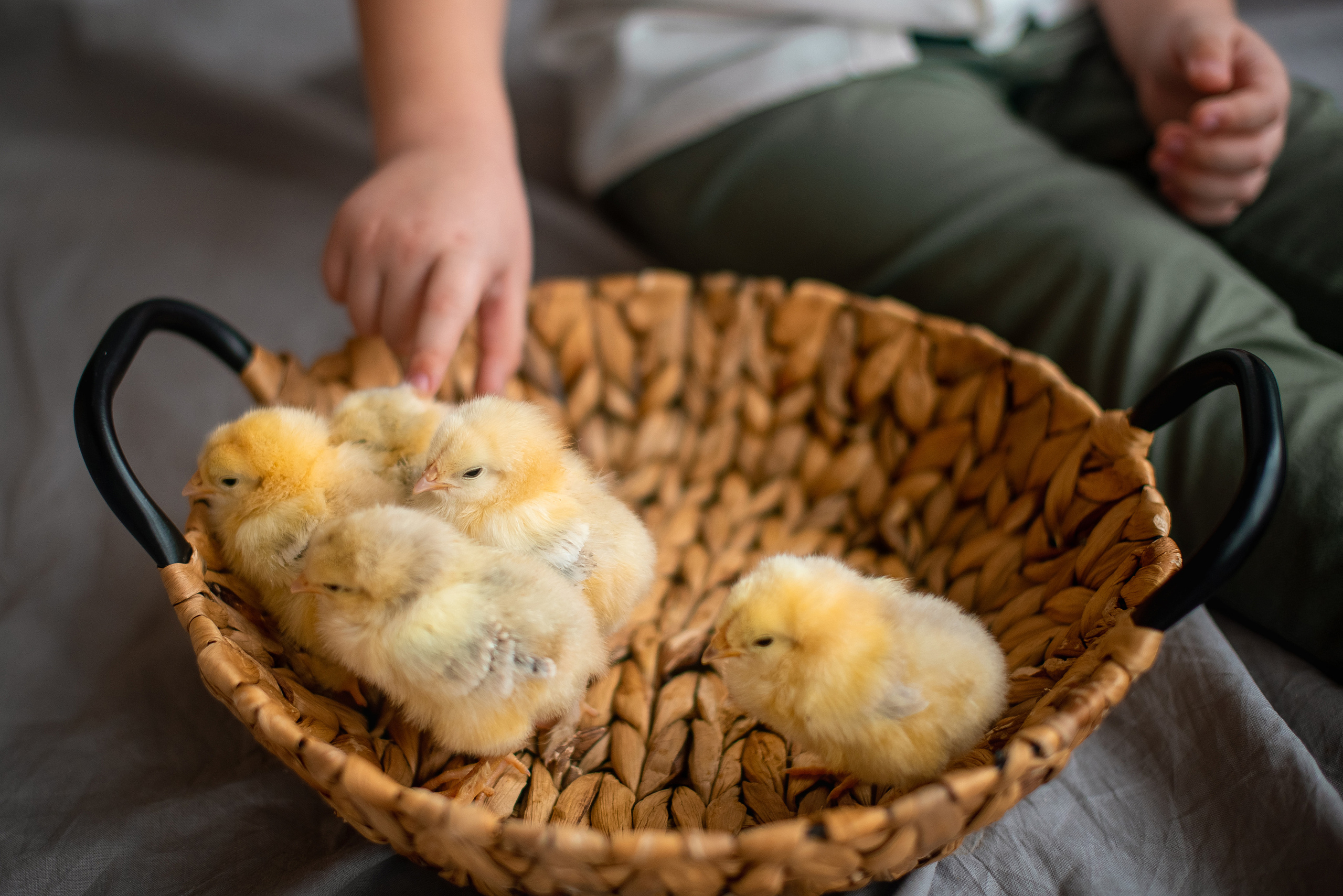 Семья и дети. Детский, свадебный и семейный фотограф в Волгограде Наталья Давыдова