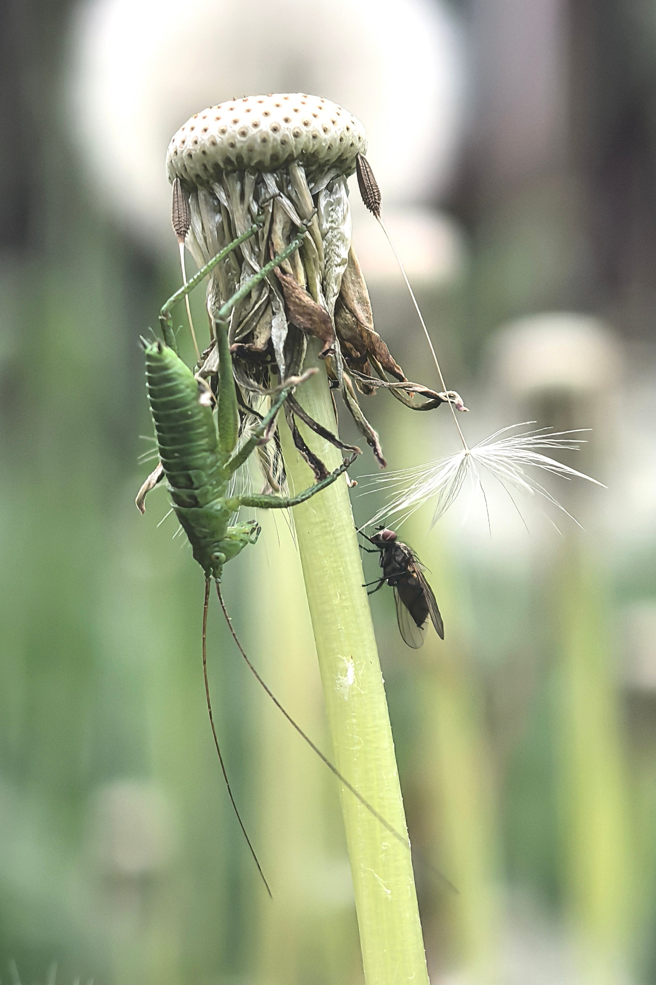 ПочтиМАКРО. Школьные выпускные альбомы в Москве Марина Николаева