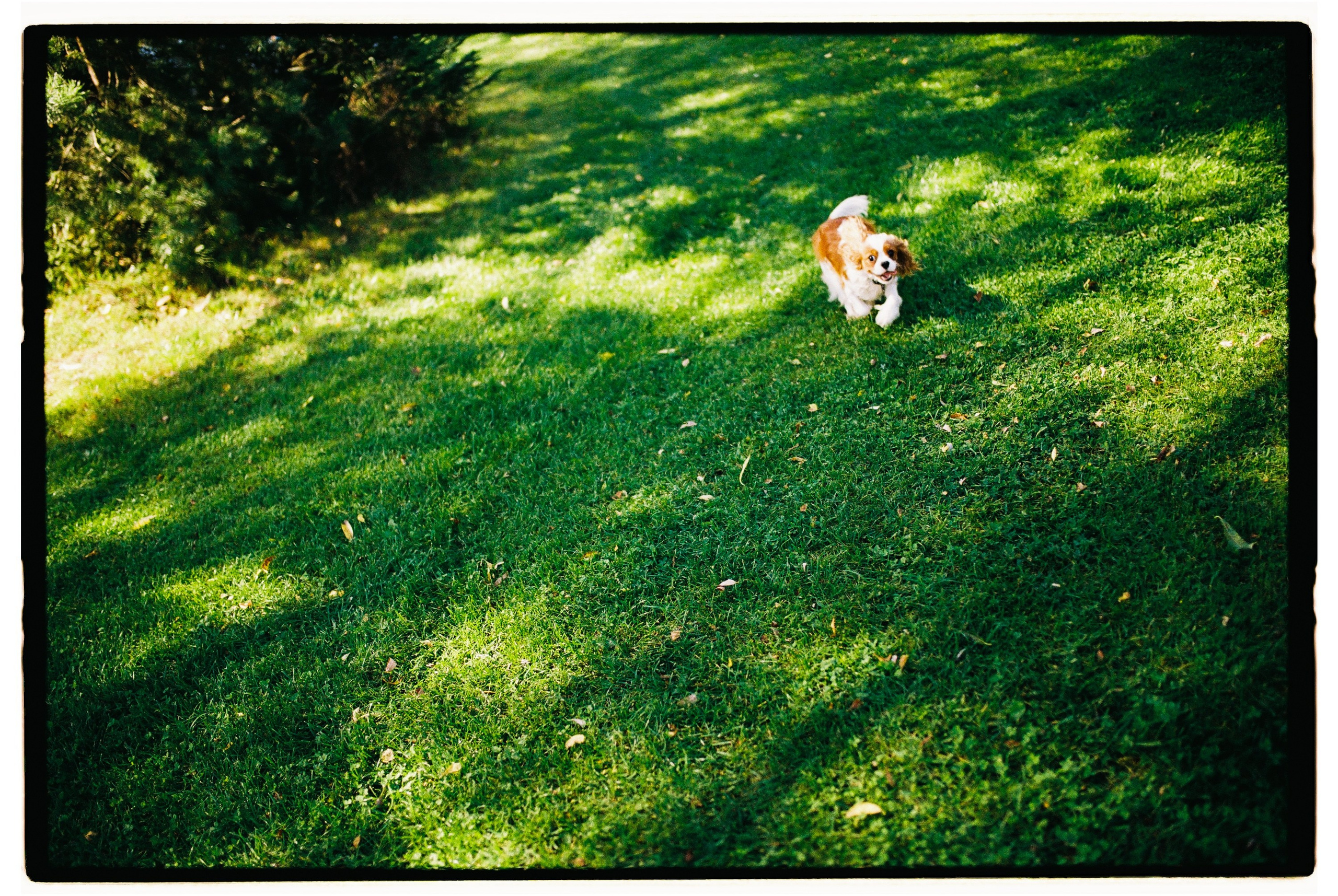 Валентин и София. Свадебный фотограф в Москве Евгений Рыжов