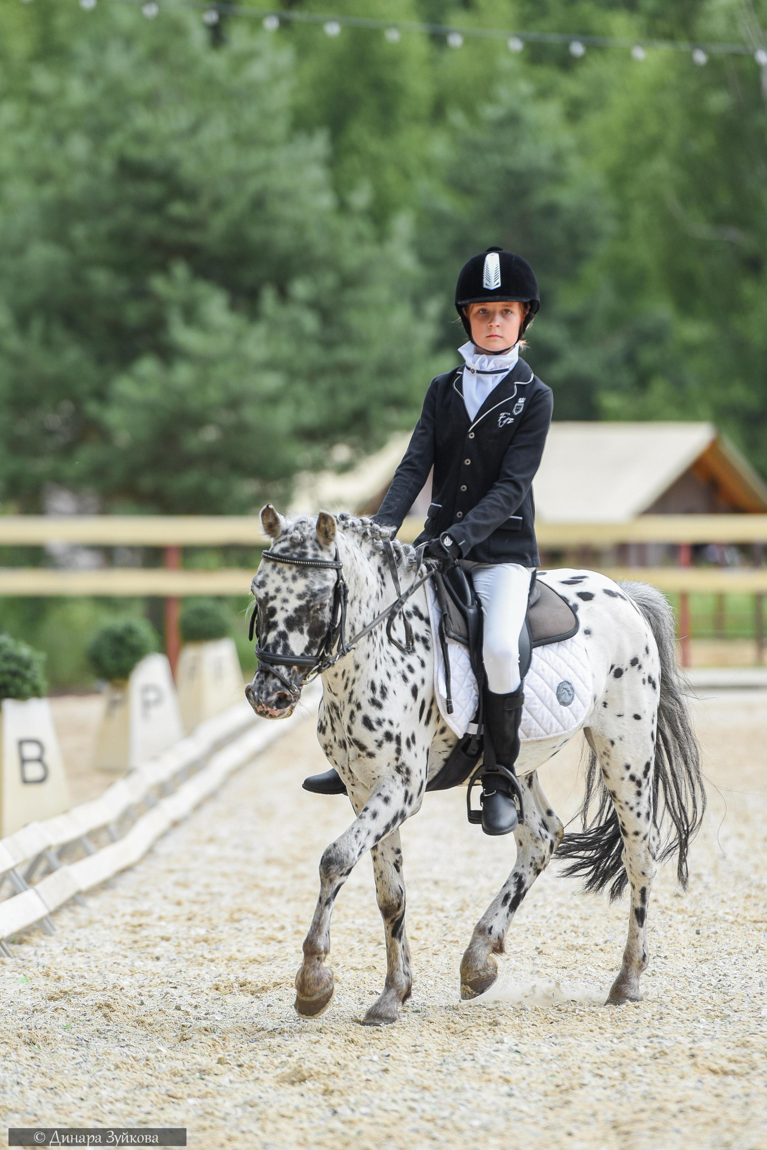 КЭК Ассамблея. Тесты, дети. Мотофотограф в Нижнем Новгороде Динара Зуйкова