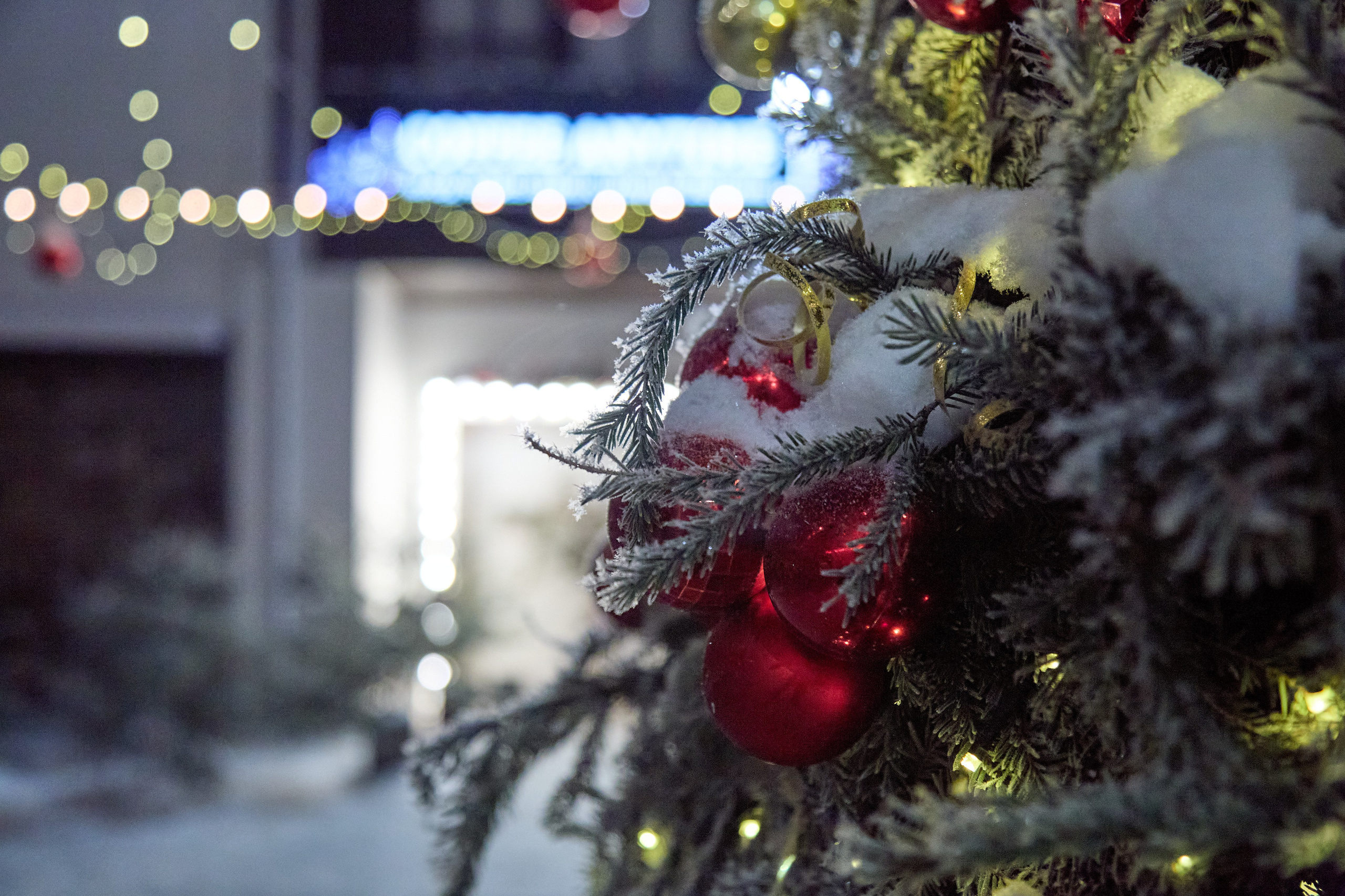 Новогодний Омск 2025. Фотограф Омск | Александр Вандеров