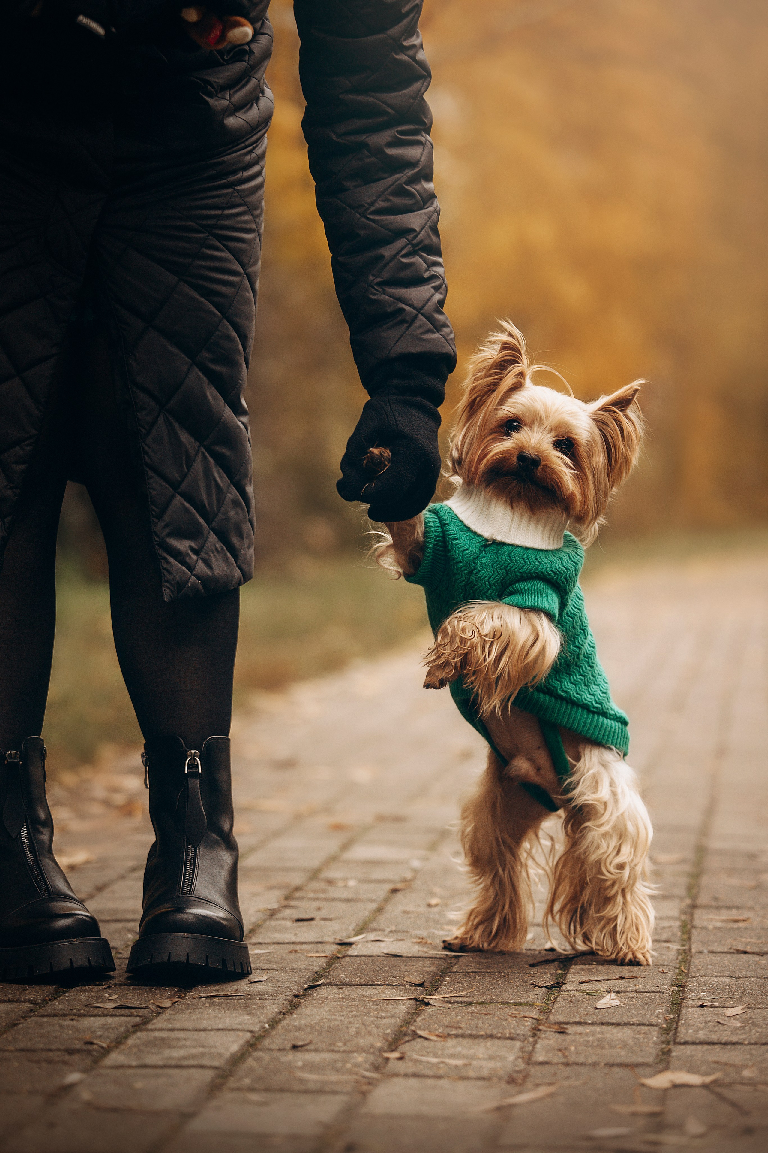 Настя и Тёма. Фотограф — Анималист | Санкт-Петербург