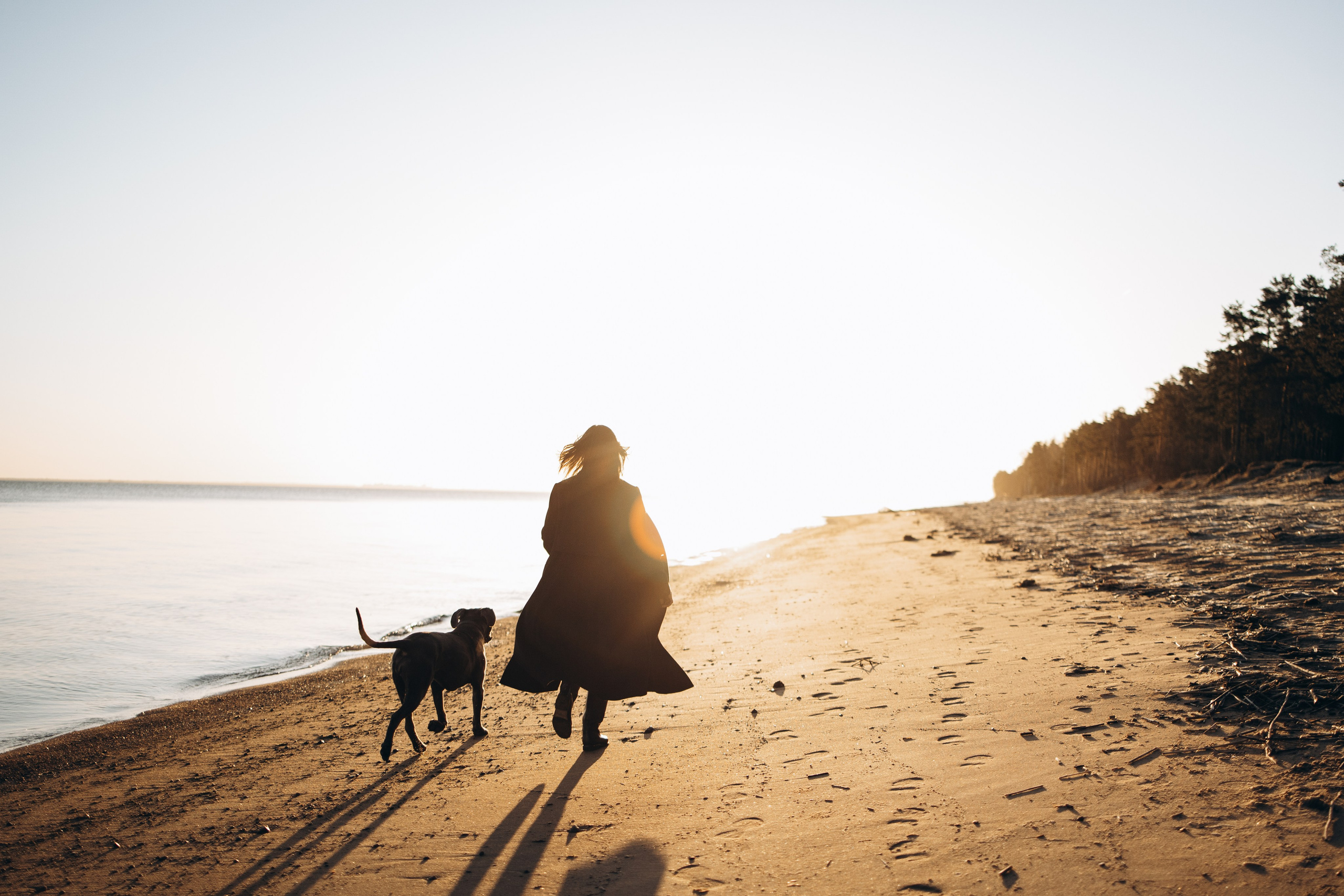 Анна и Лана. Фотограф — Анималист | Санкт-Петербург