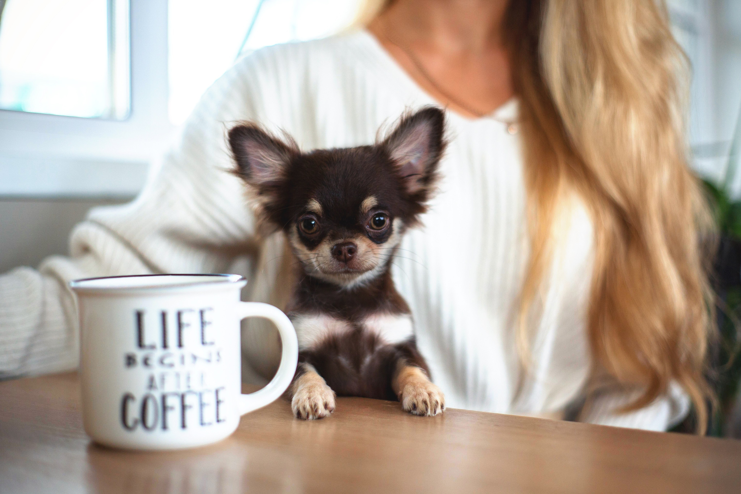 Ольга и Изи. Https://moshkovaphoto.ru/