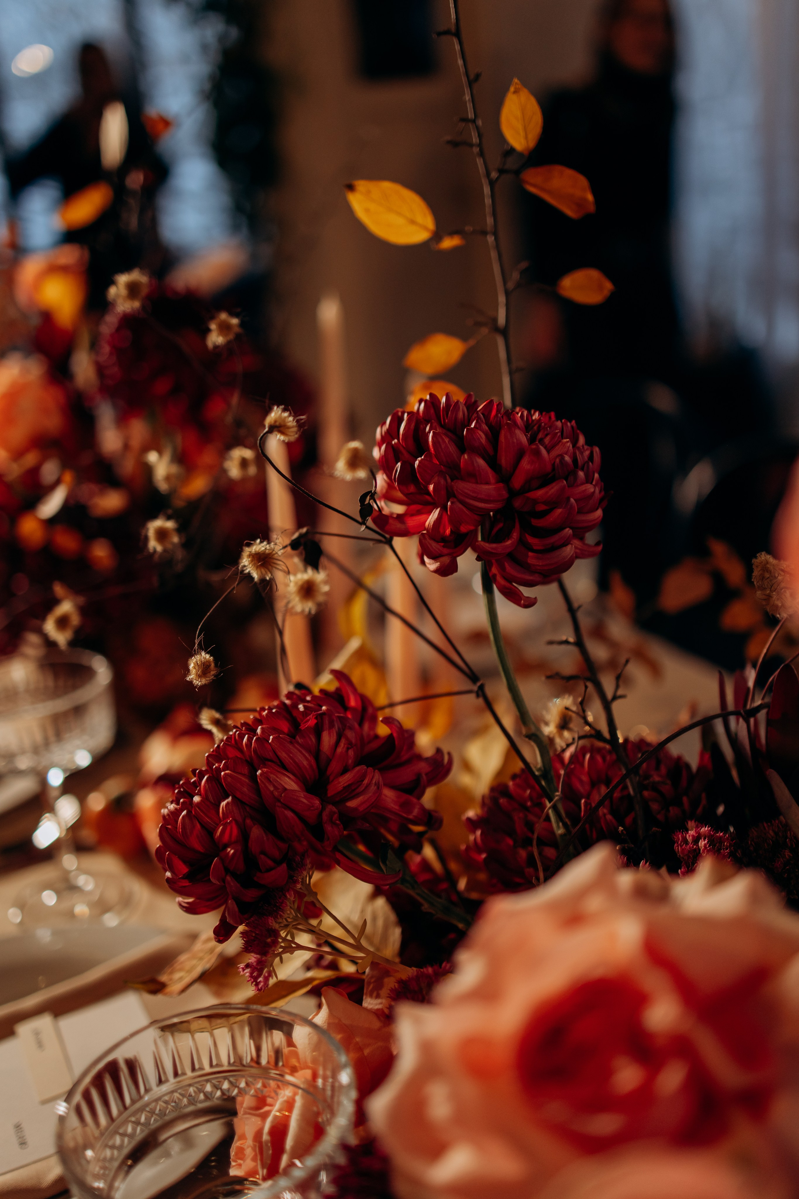 Алексей и Ксения 28.10.23. Фотограф — Погодина Екатерина