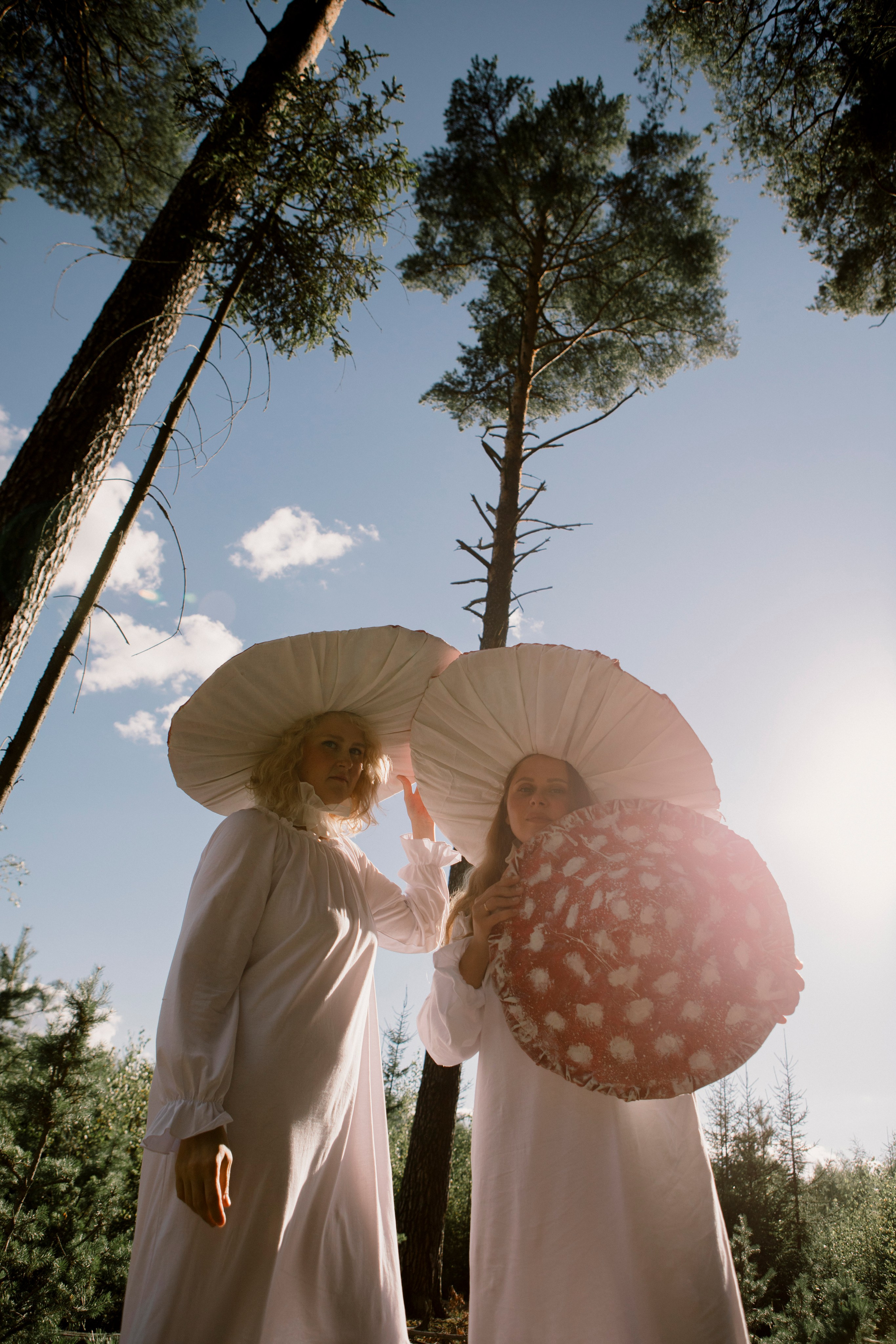 Грибы. Ольга Пилант. АРТ, бэкстейдж, свадебная и семейная фотография, городской портрет, интерьерная фотография