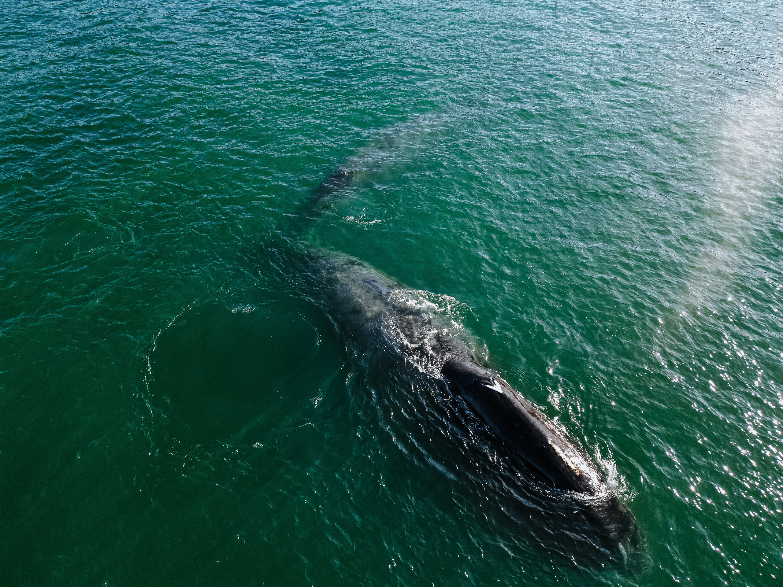 Airphoto. Николай Филиппов Event & Concert Photographer Москвf