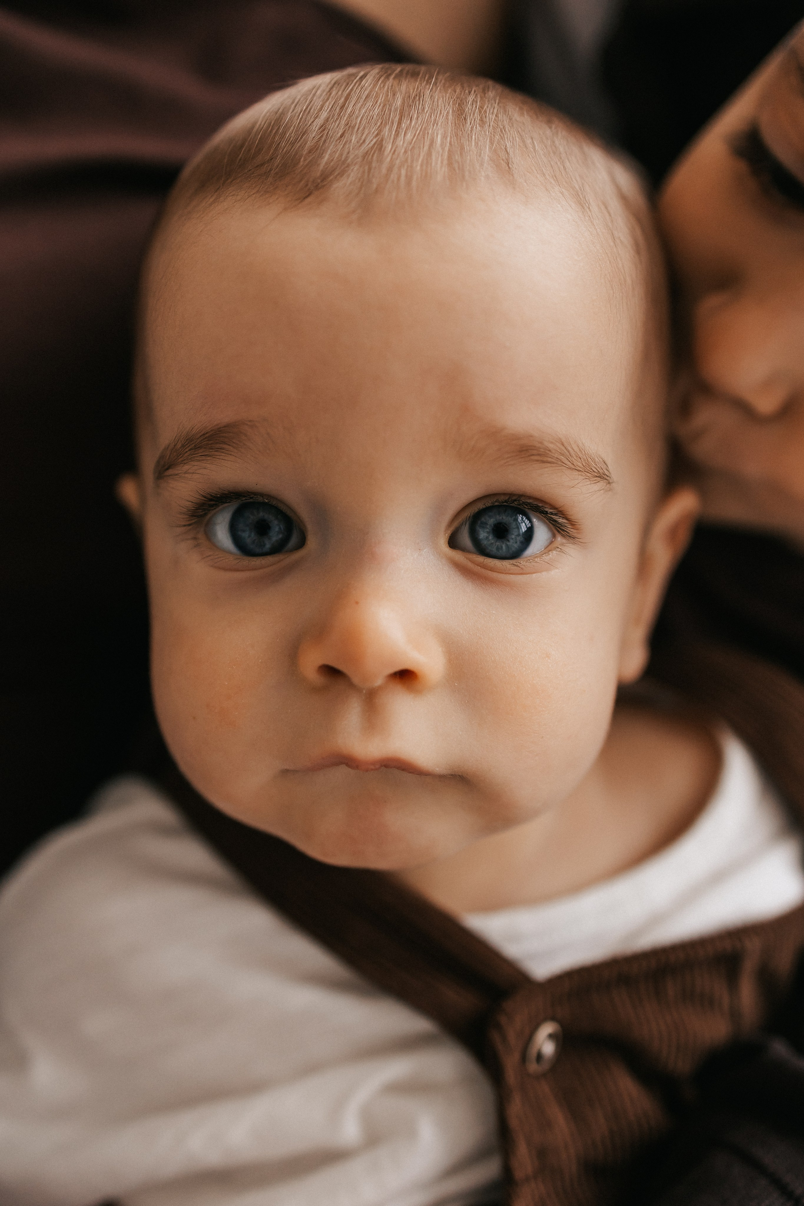 Льву 1 годик. Фотограф Нижний Новгород