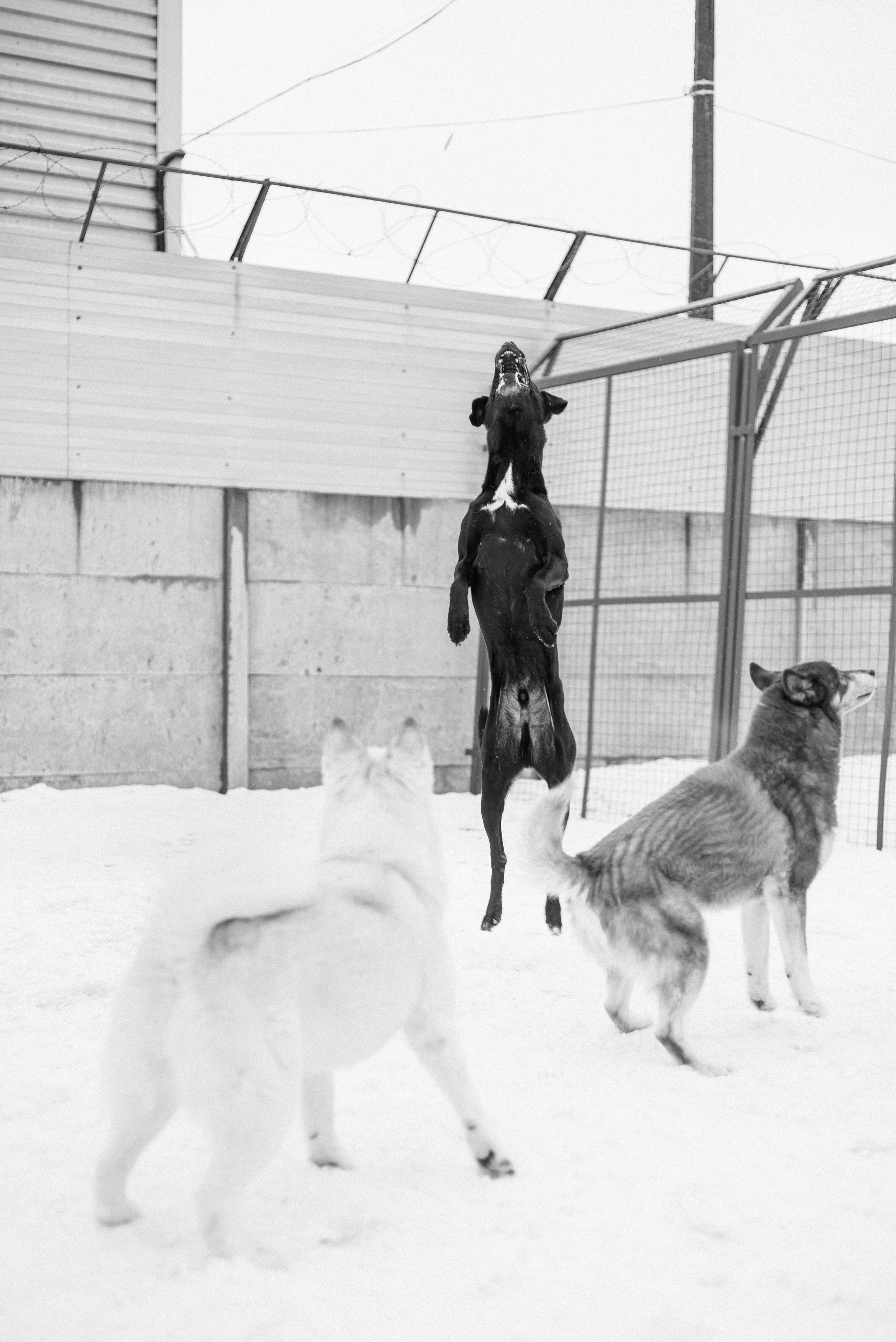Андрей Корепов. Фотограф в Санкт-Петербурге
