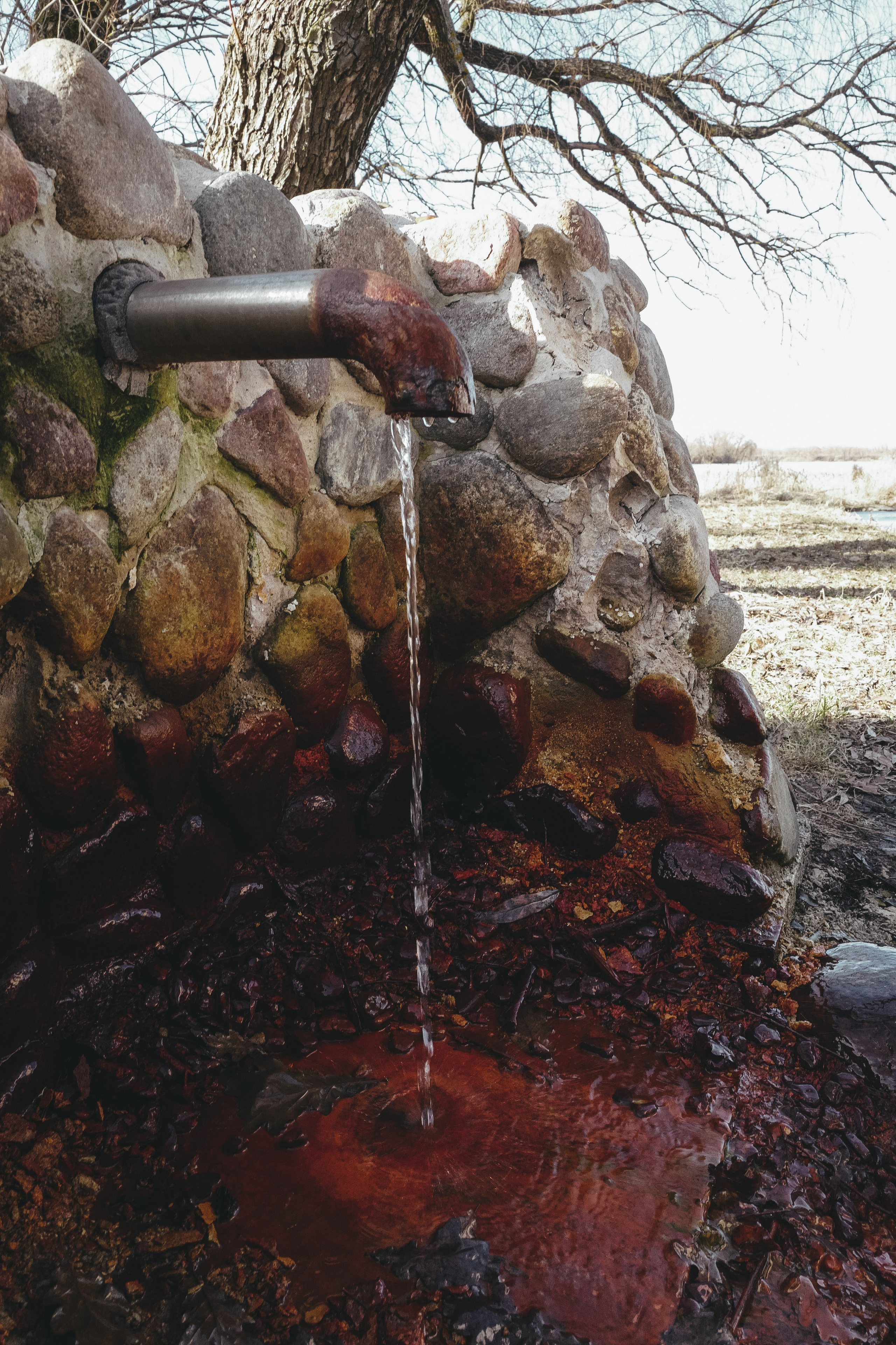 Vitoslavici/Novgorod. <3