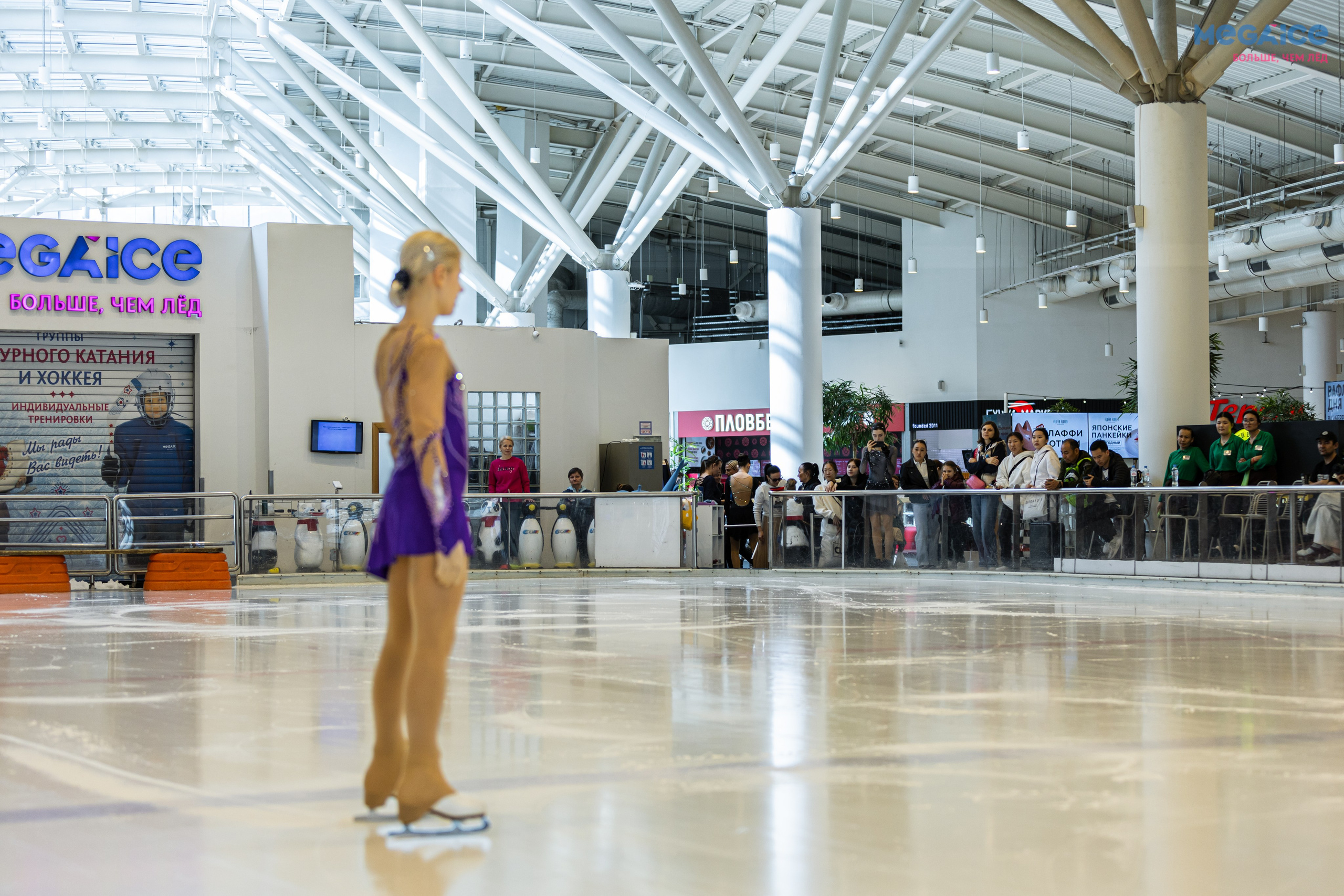 MEGAICE показательные выступления. Фотограф в Москве портреты | репортажи | спорт