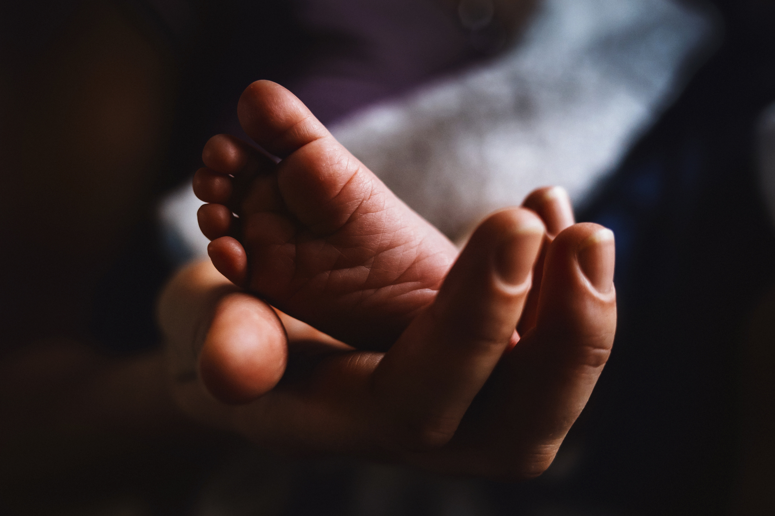 Маленький Лев. Детский и семейный фотограф в Москве Алёна Шестунова