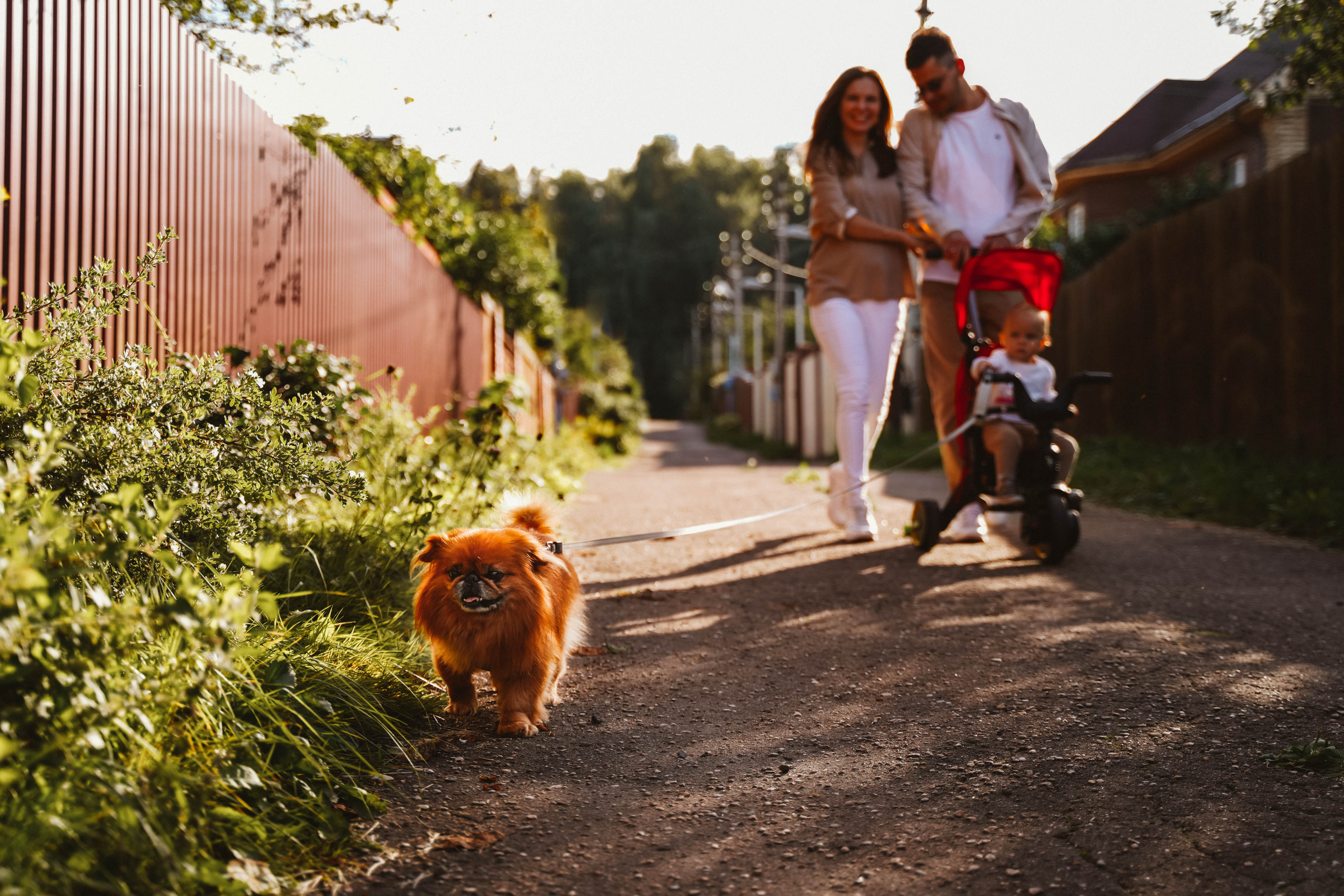 Софи. Детский и семейный фотограф в Москве Алёна Шестунова