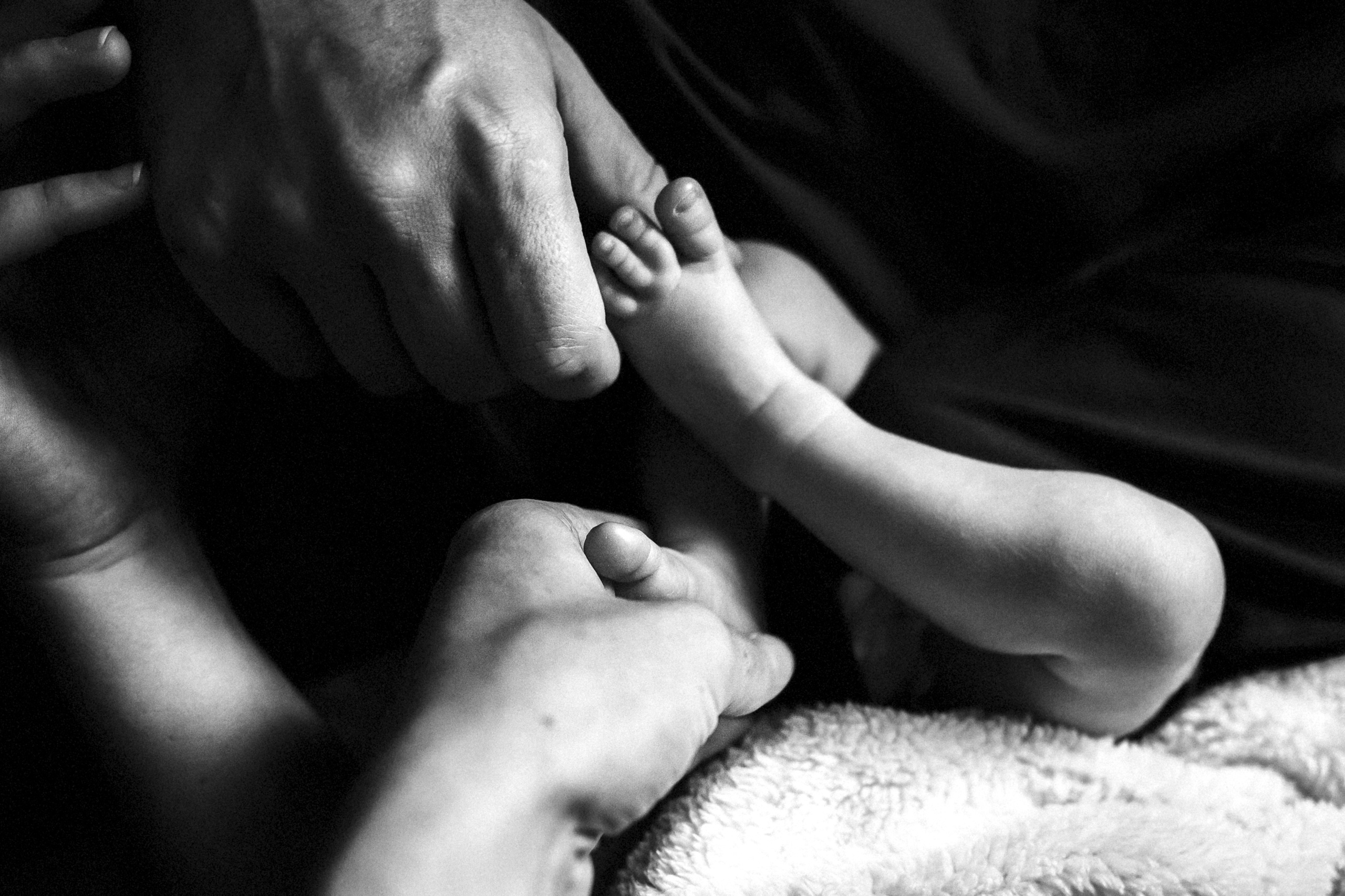 Маленький Лев. Детский и семейный фотограф в Москве Алёна Шестунова