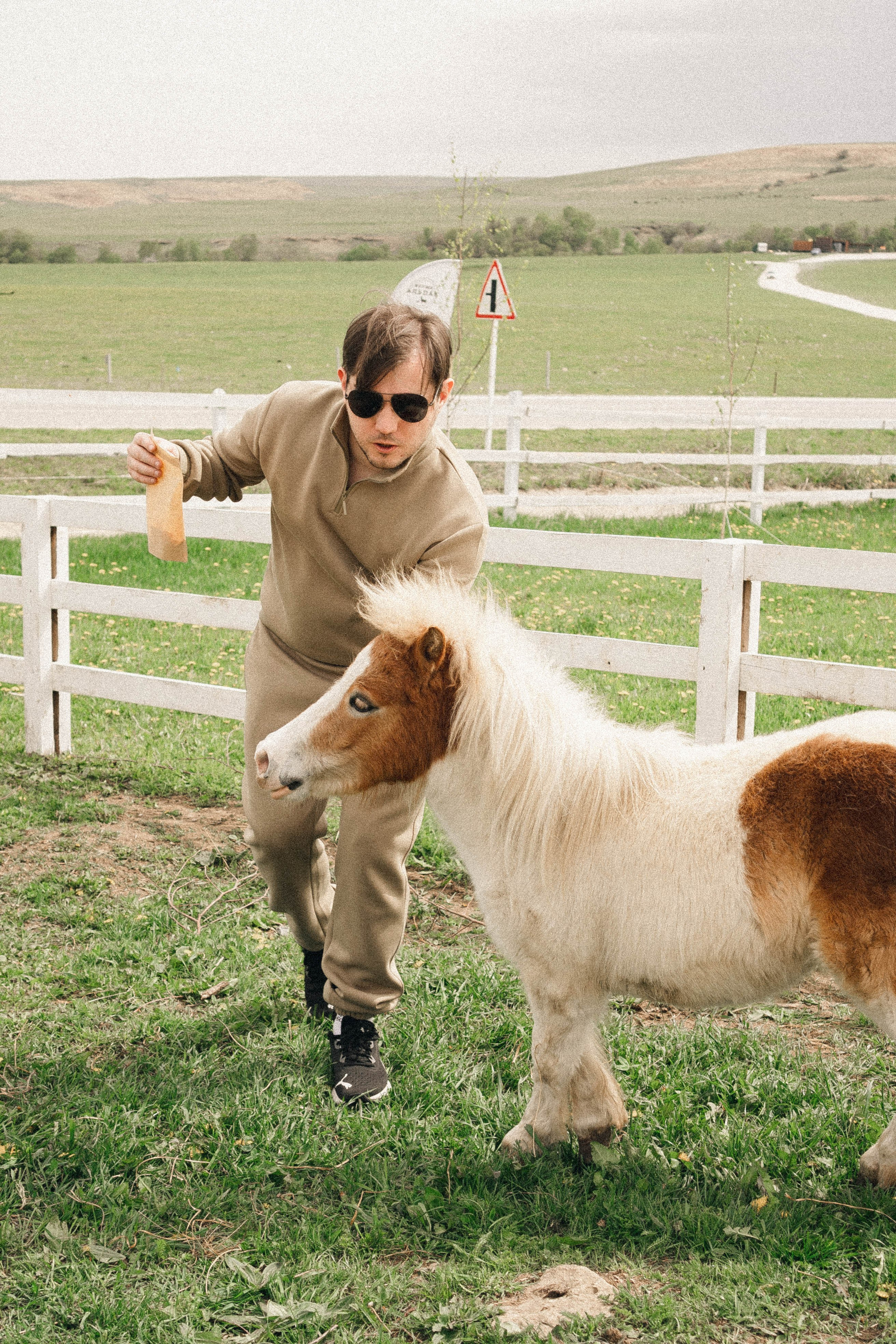 Ферма Альпак. Профессиональный фотограф, Санкт-Петербург — Виктория Богомолова