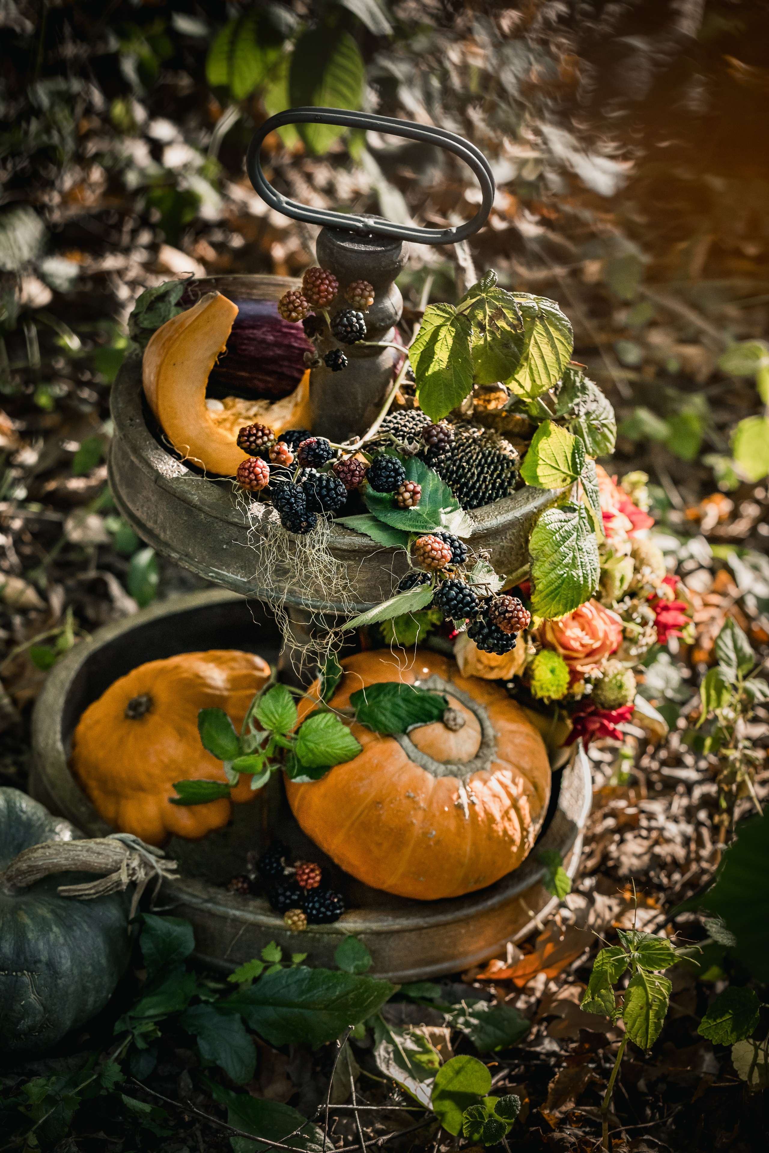 Pumpkins stillife & Halloween. Foodie Stories (гастрономические истории) рекламная фуд-фотосъёмка, Москва